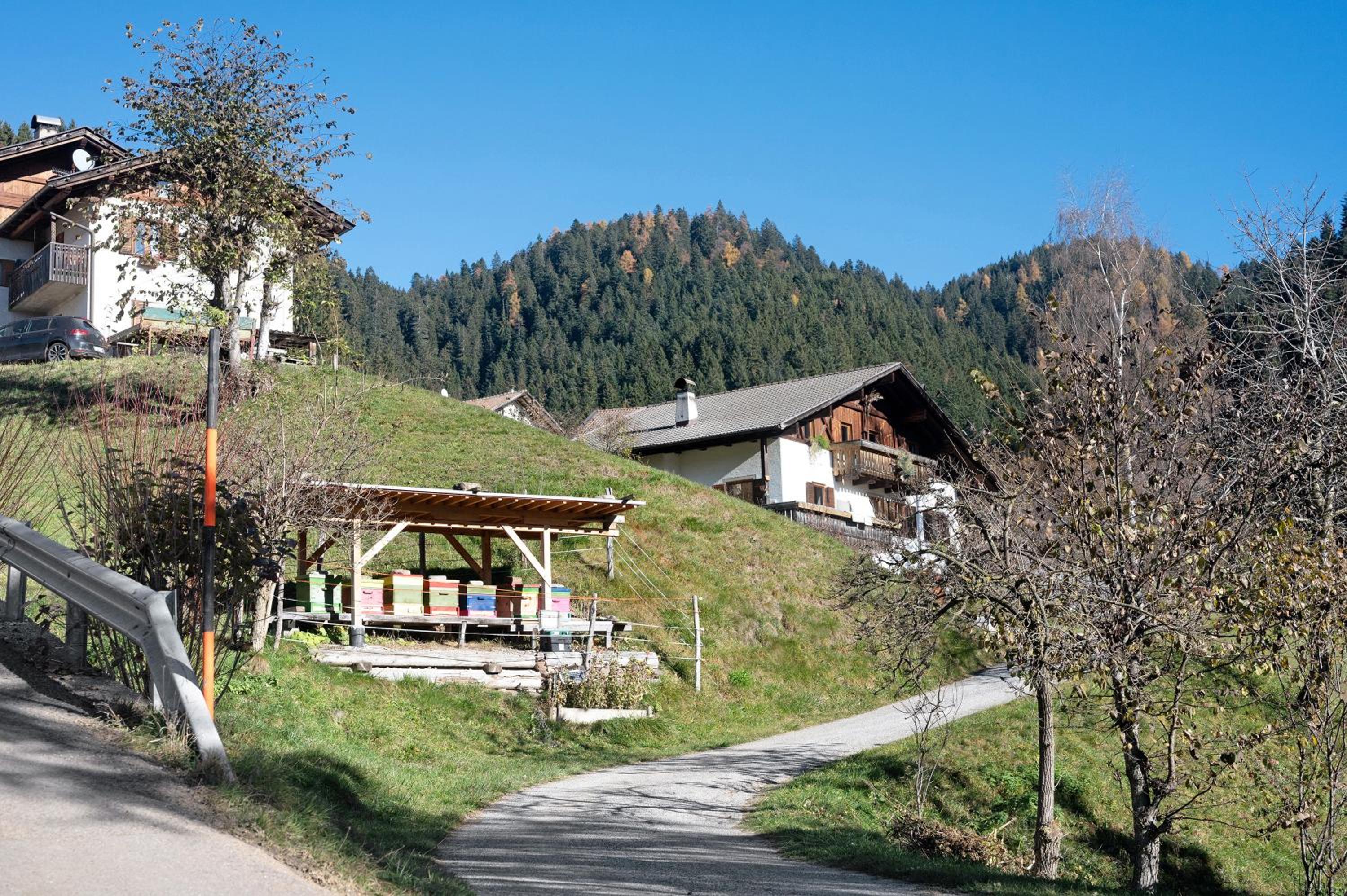 Innerjerberhof Sunnseit