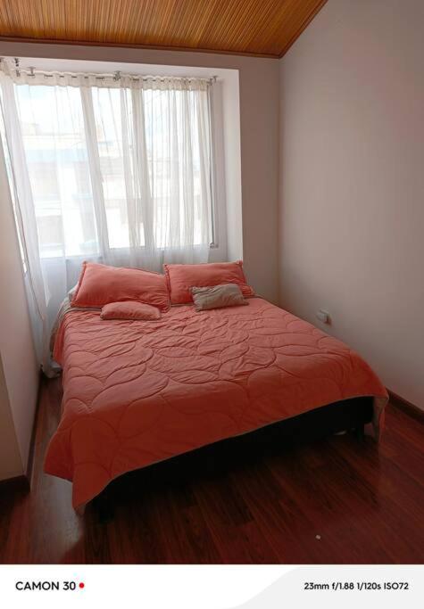 Casa Mandarina