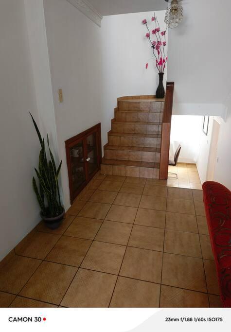 Casa Mandarina