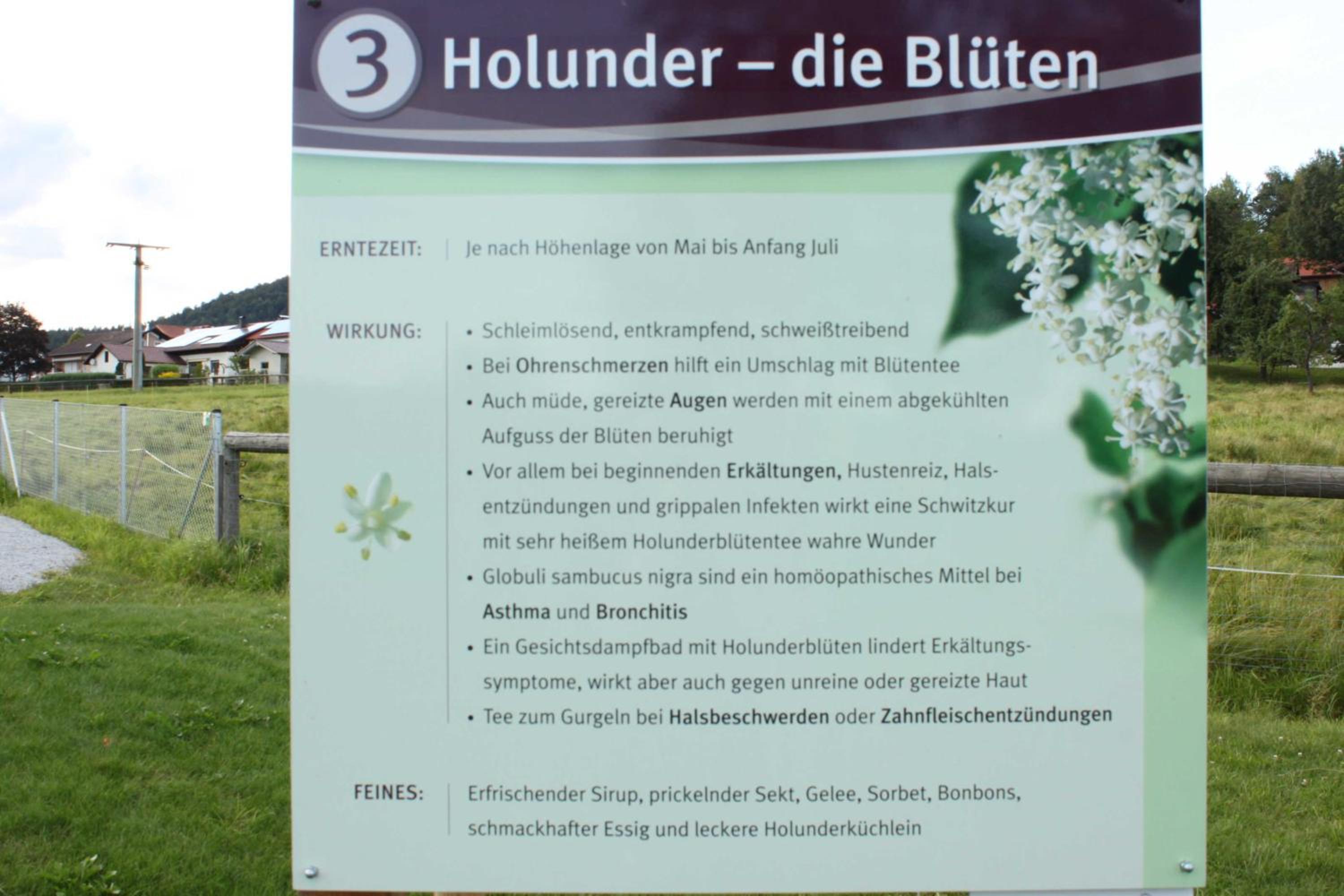 Fewo mit malerischem Bergblick im