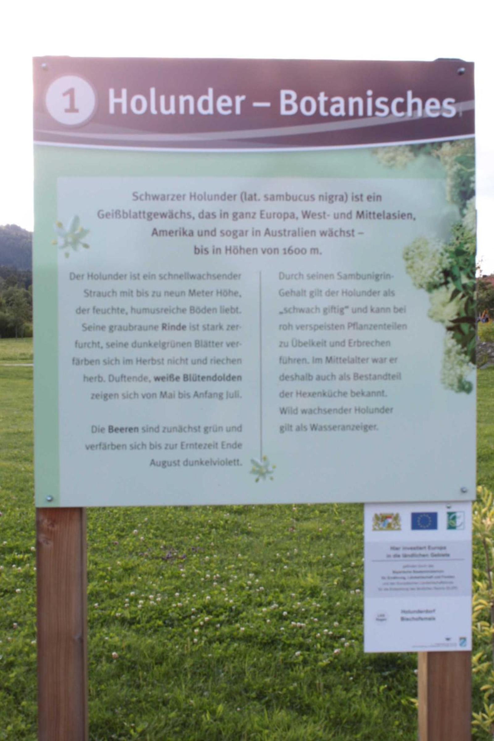 Fewo mit malerischem Bergblick im