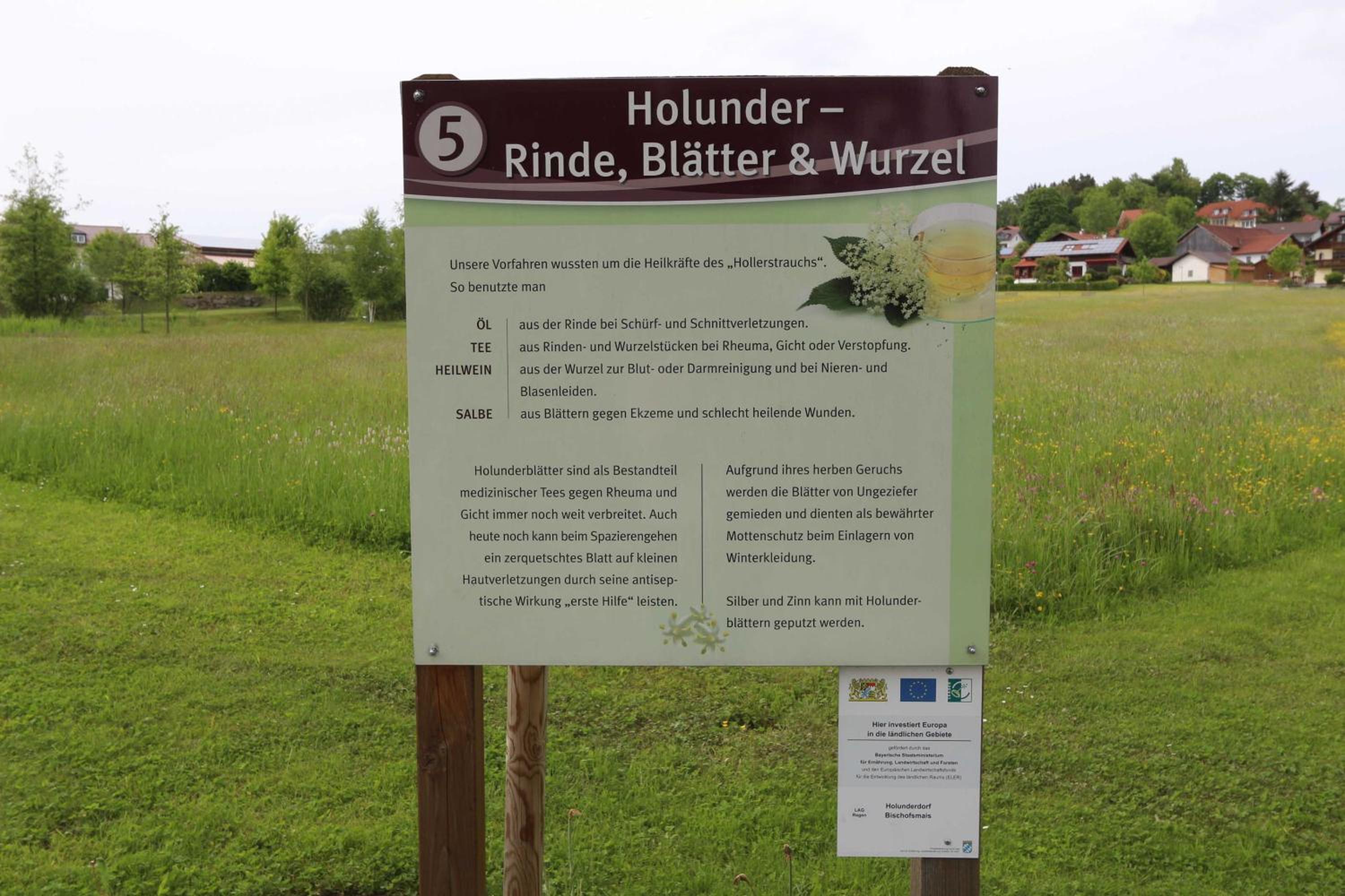 Fewo mit malerischem Bergblick im
