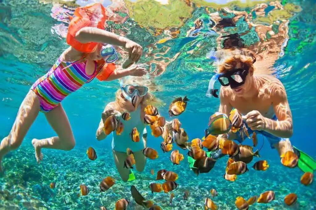 Studio em Porto de Galinhas no térreo