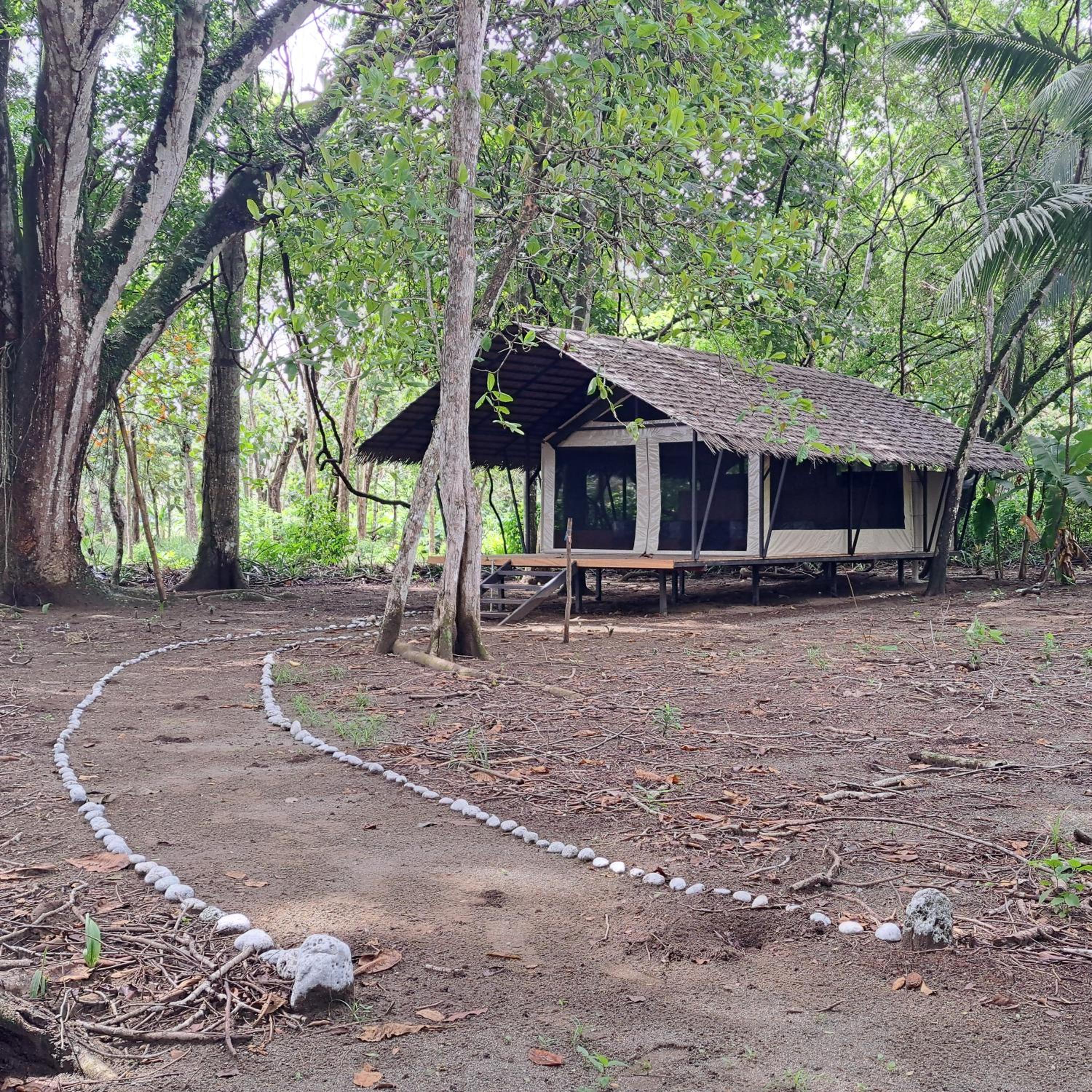 Four Monkeys Eco Lodge - Jungle & Beach view 2