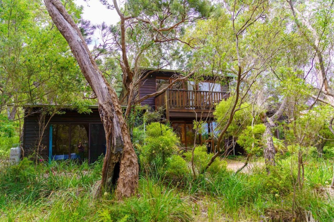 Bimbi Forest Eco Lodge - Denmark