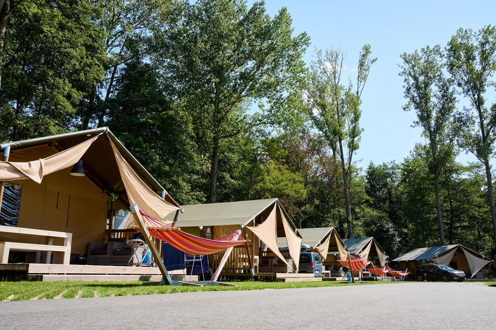Glamping Belgisch Limburg, photo 8