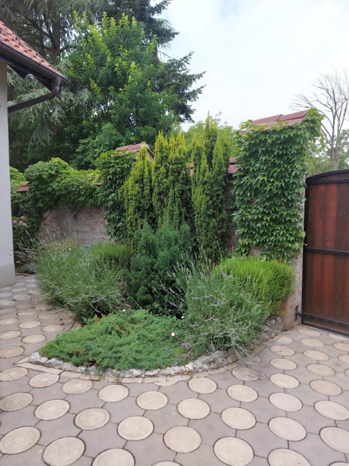 Photo 12