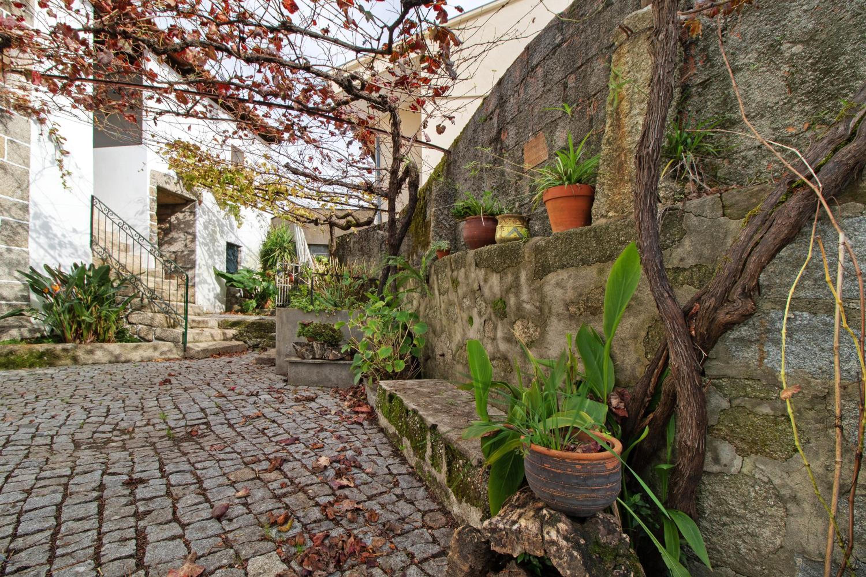 Casa do Adro do Soajo view 4