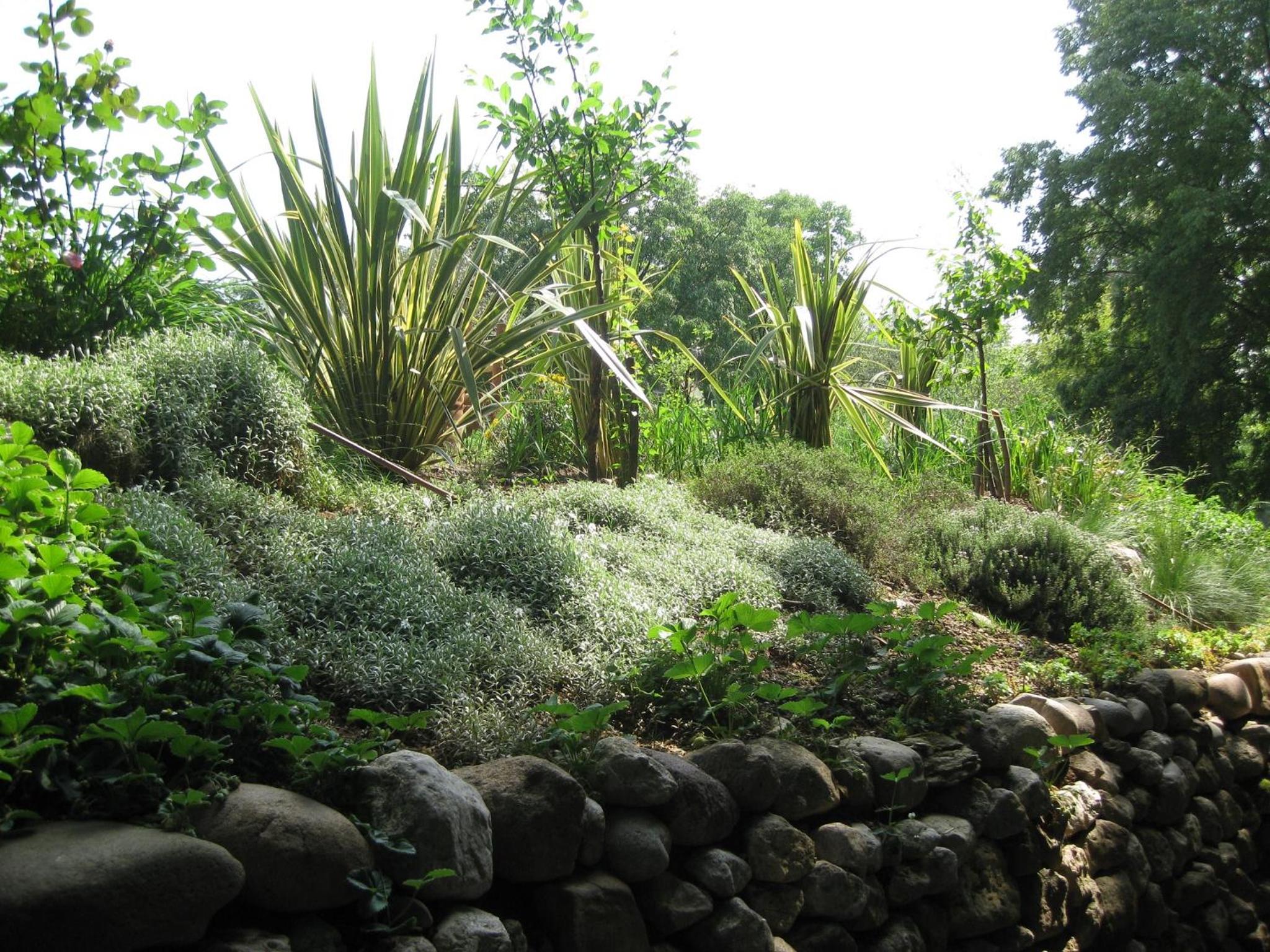 Photo 42