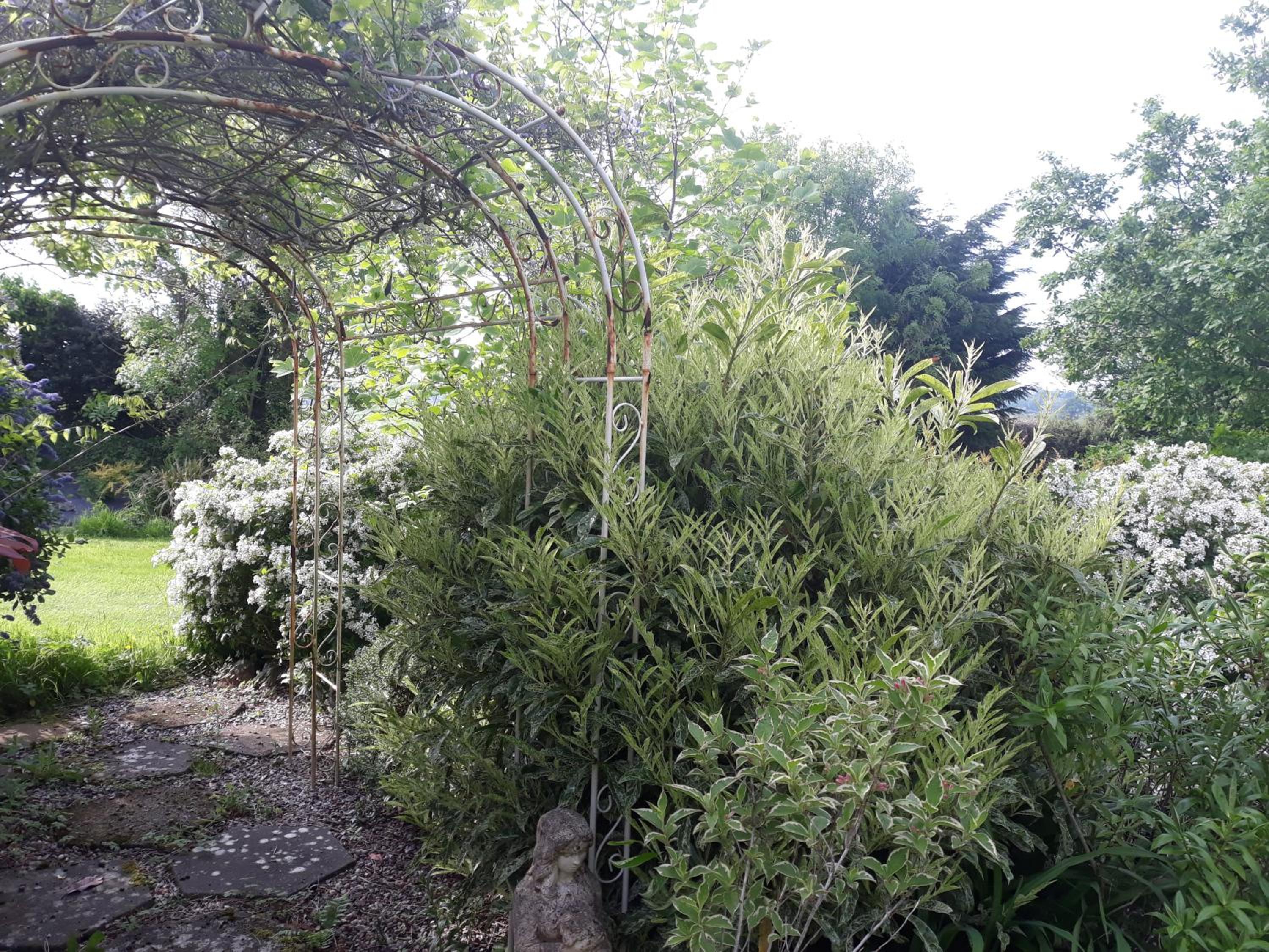 Photo 12