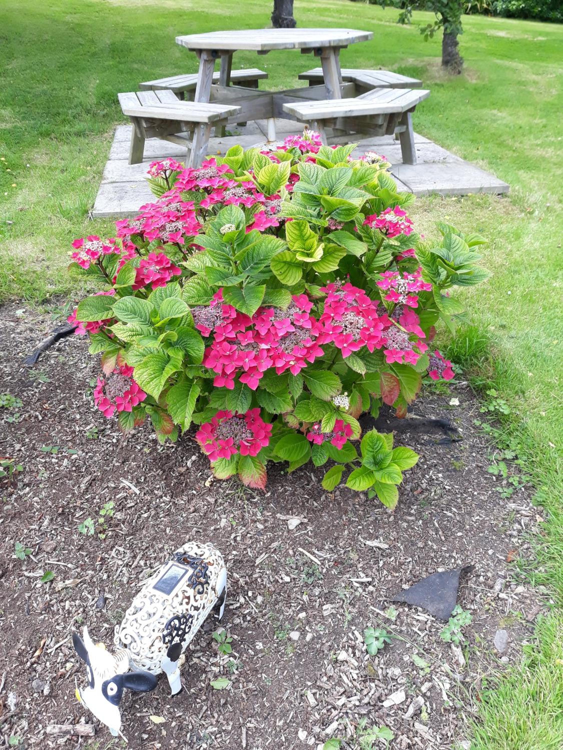 Photo 13