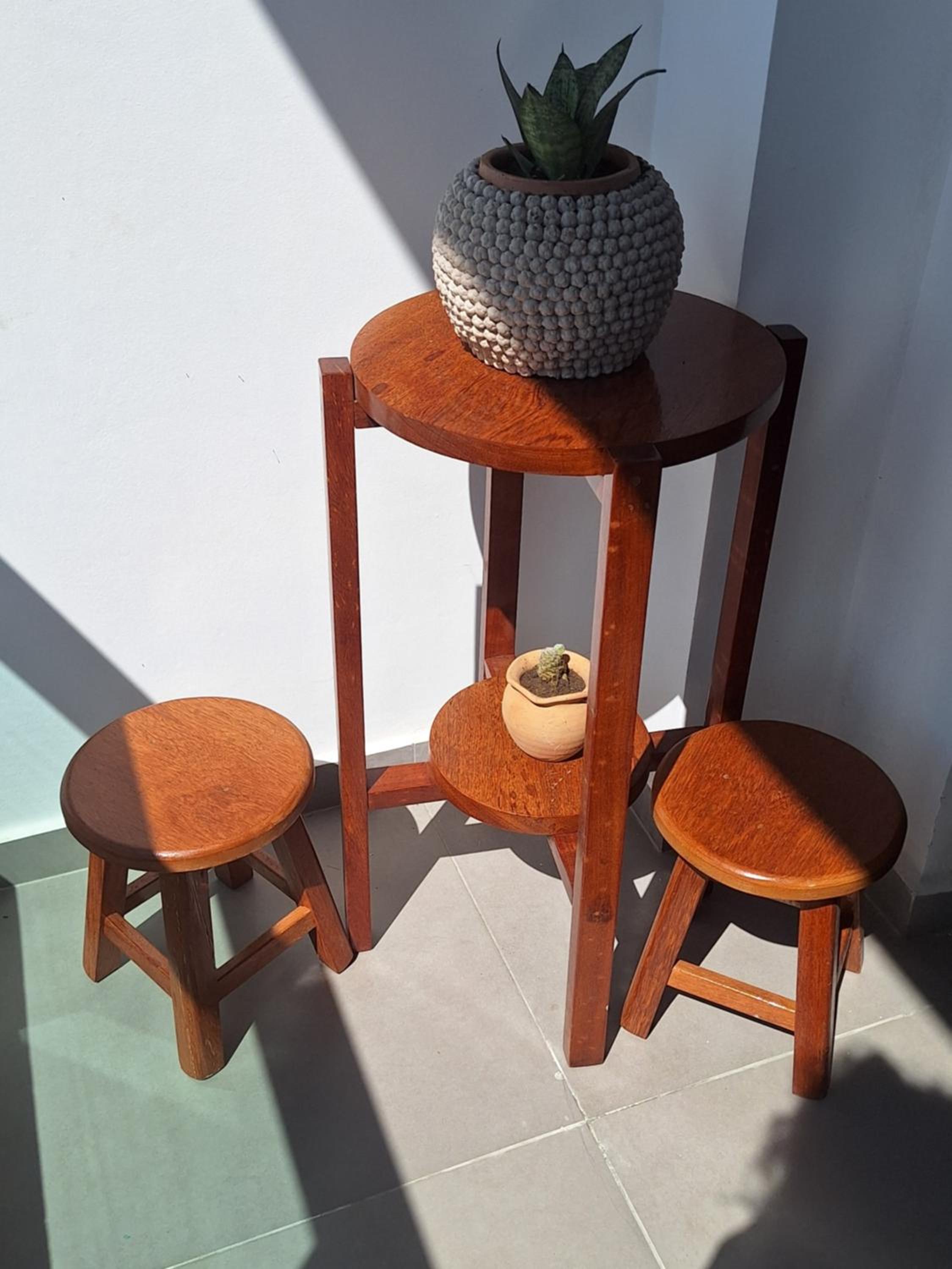 TamandaCasa ape em Tamandare Carneiros