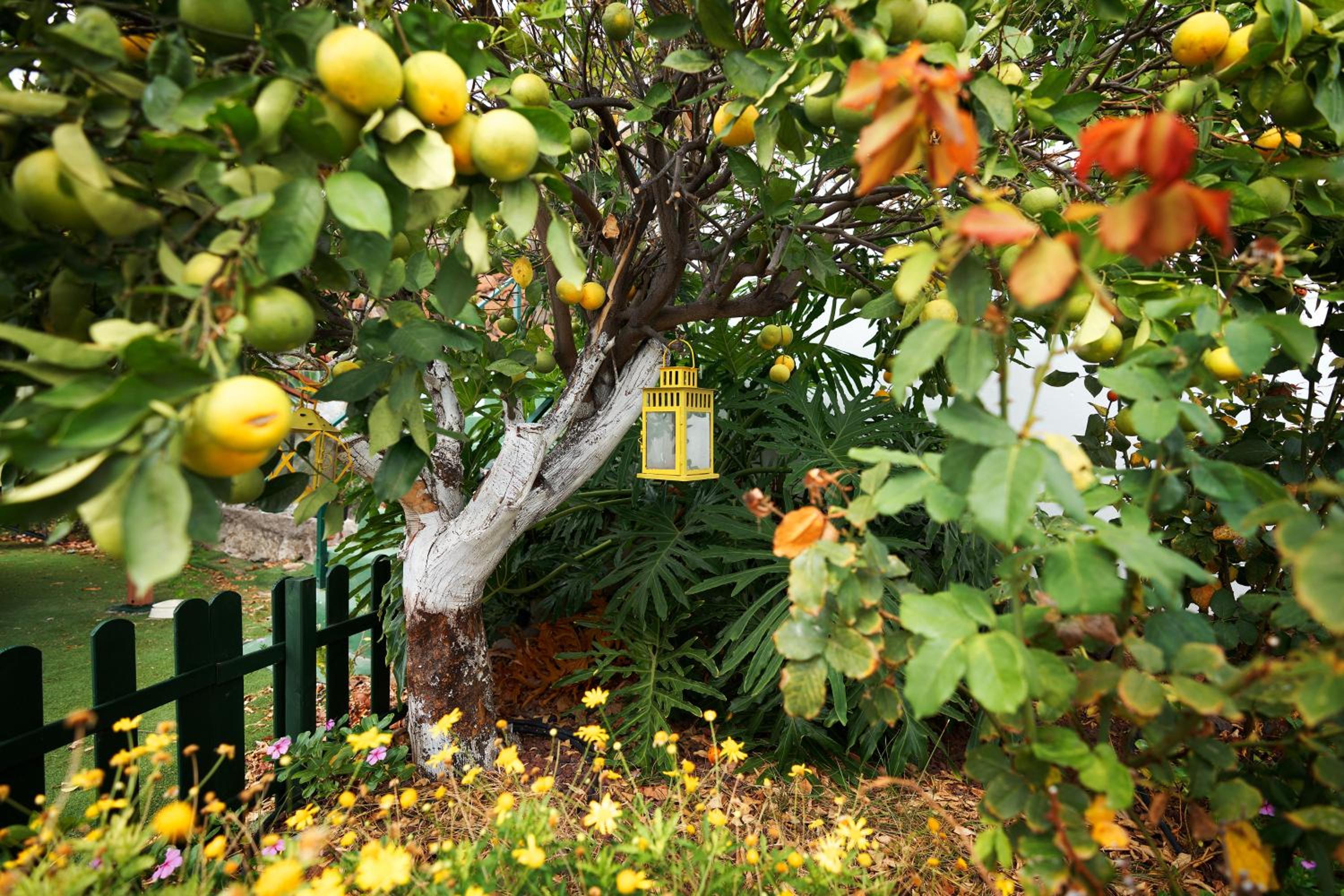 Finca Ecológica Quinta Los Tizones