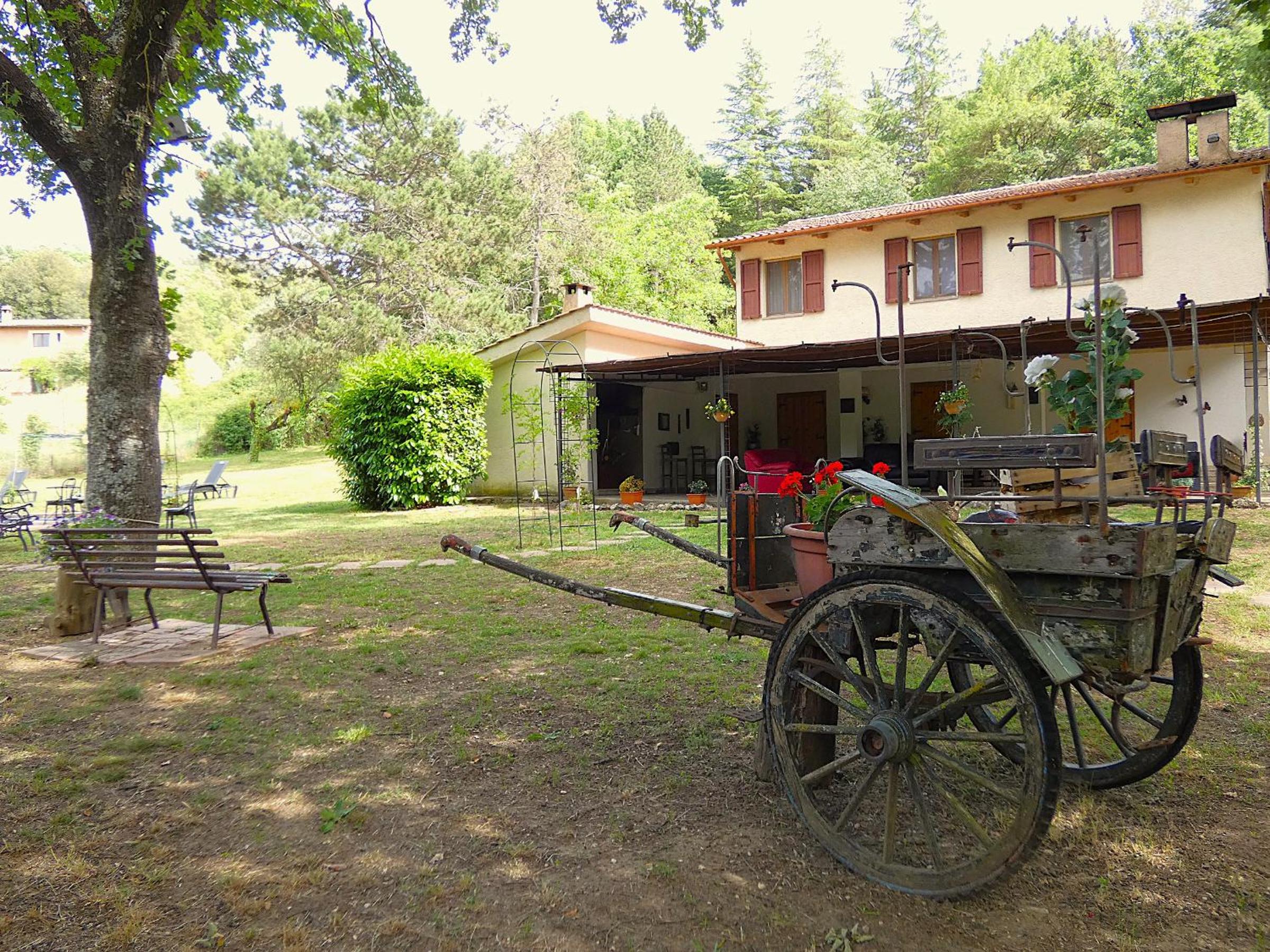 SCAPPO IN UMBRIA, La Casa nel bosco view 4