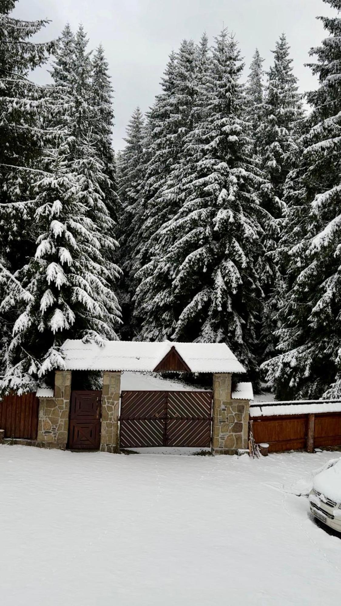 Cottage Karinka