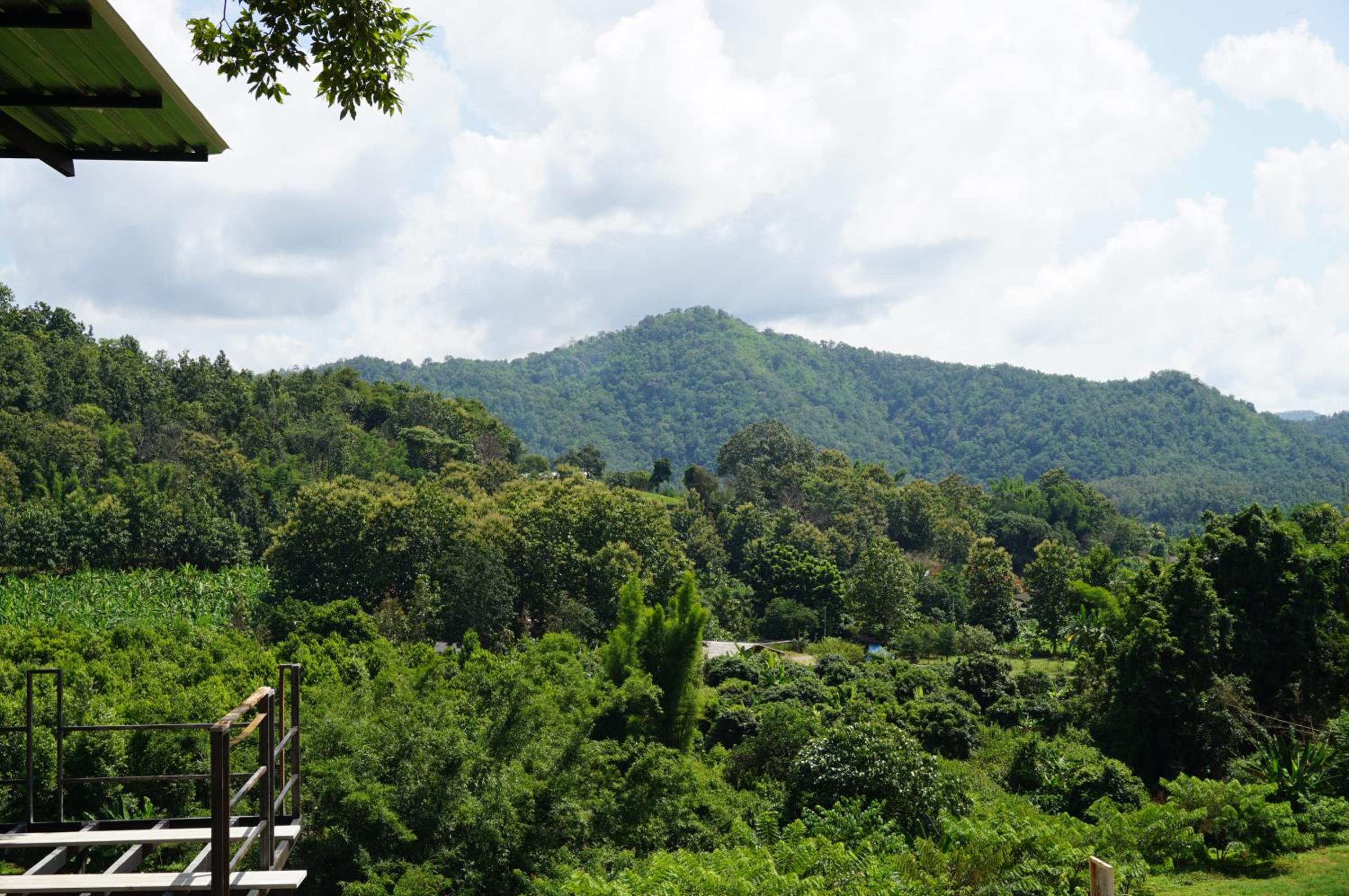 Phu Pha View Doi