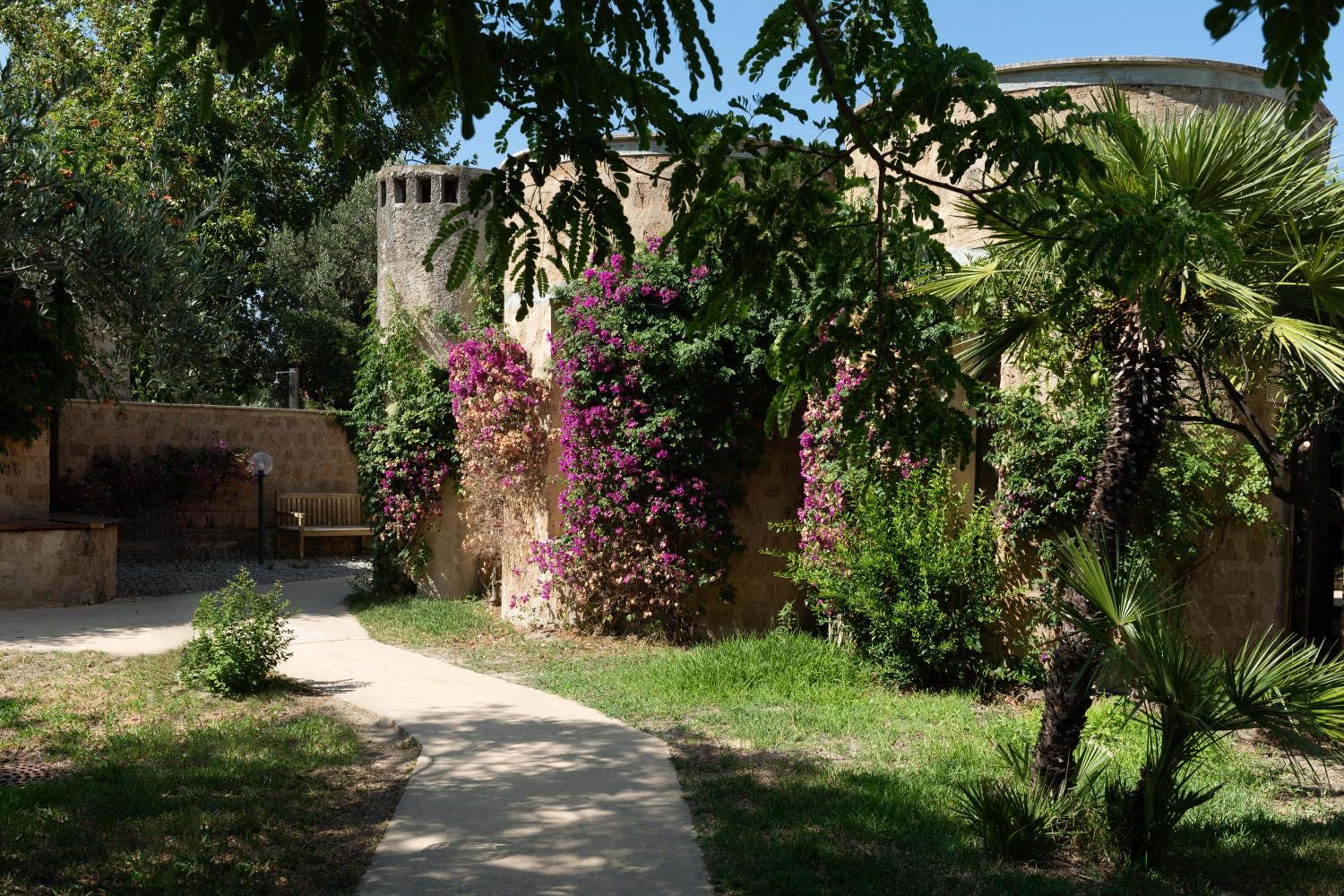 Photo 45