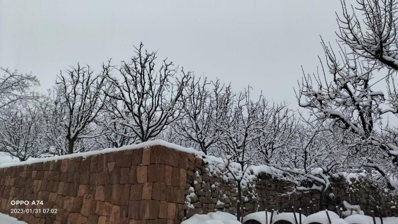 Rokwood faraya