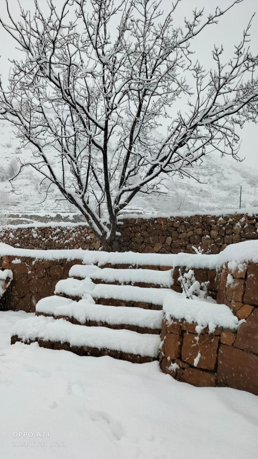 Rokwood faraya