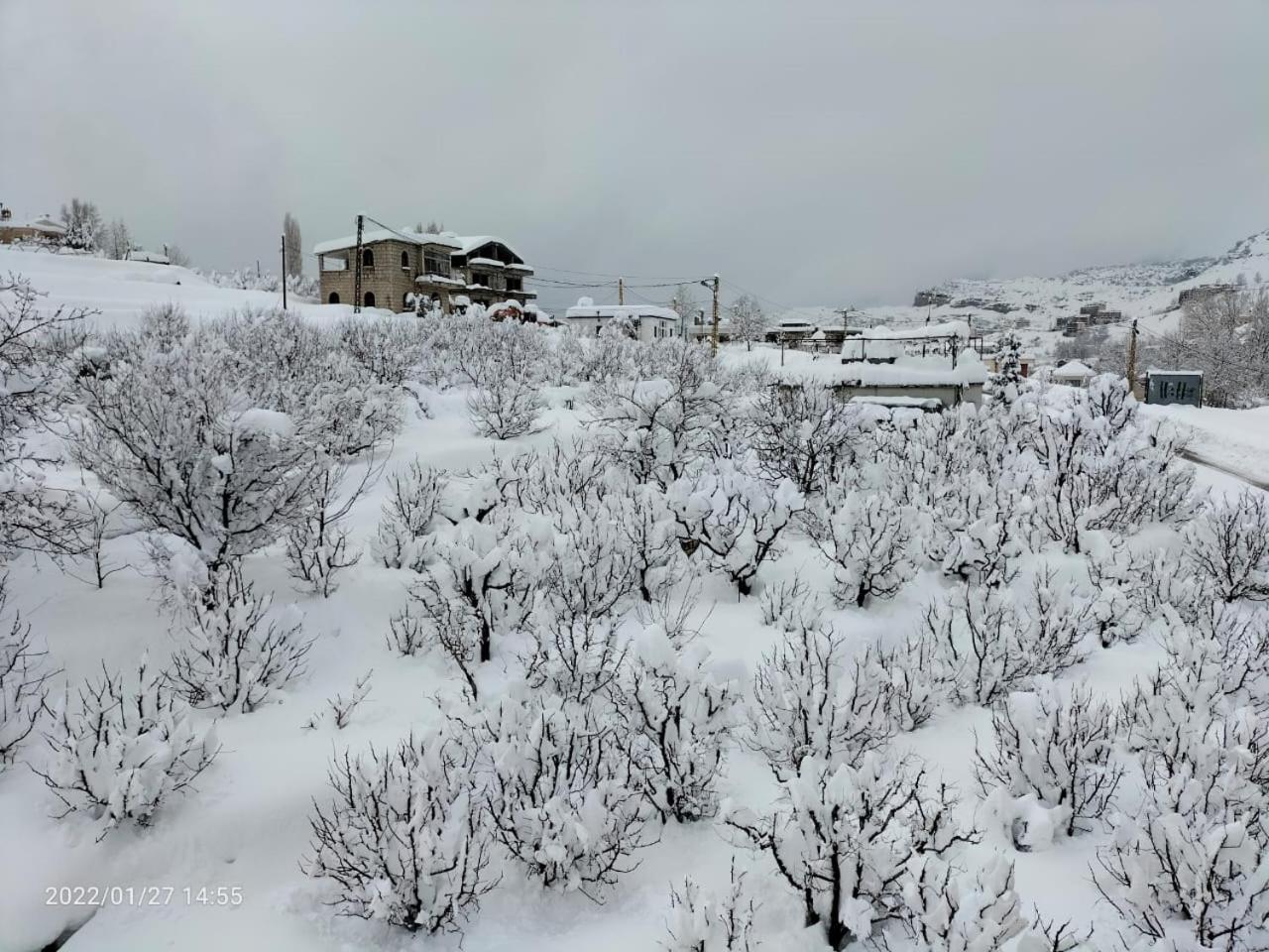Rokwood faraya