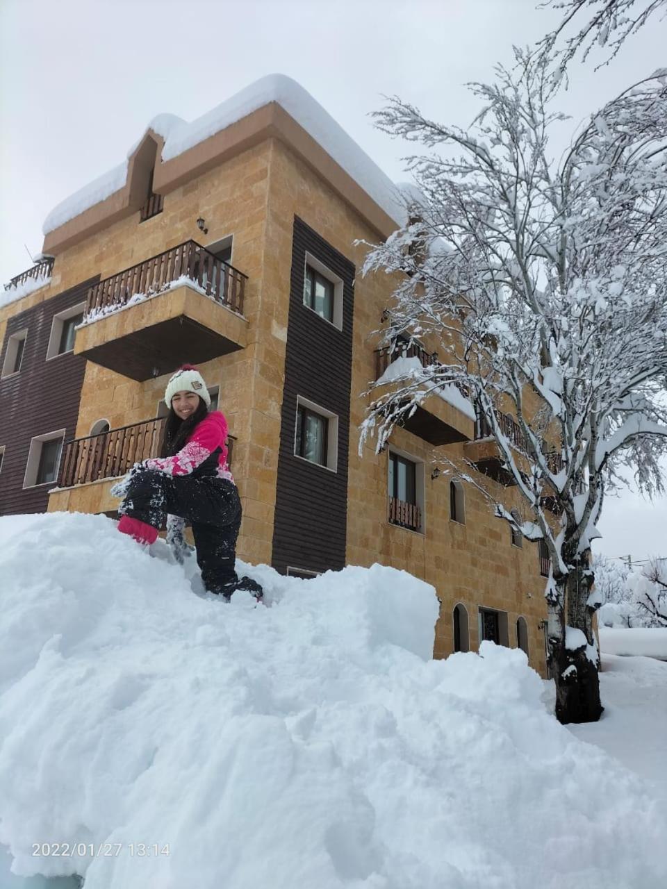 Rokwood faraya