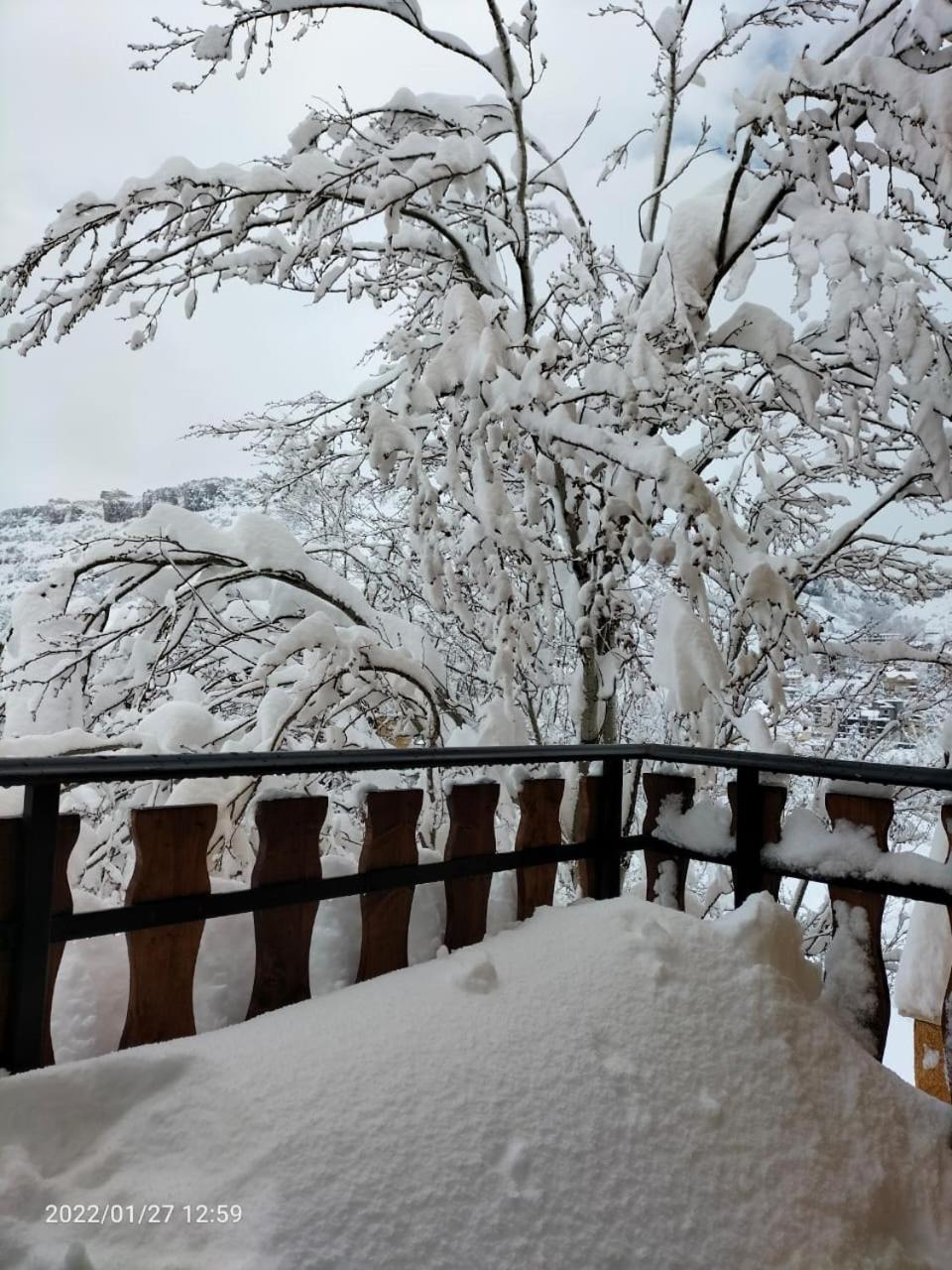 Rokwood faraya