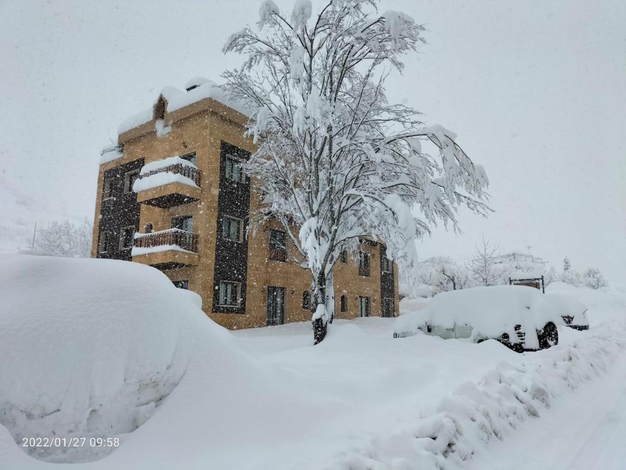 Rokwood faraya