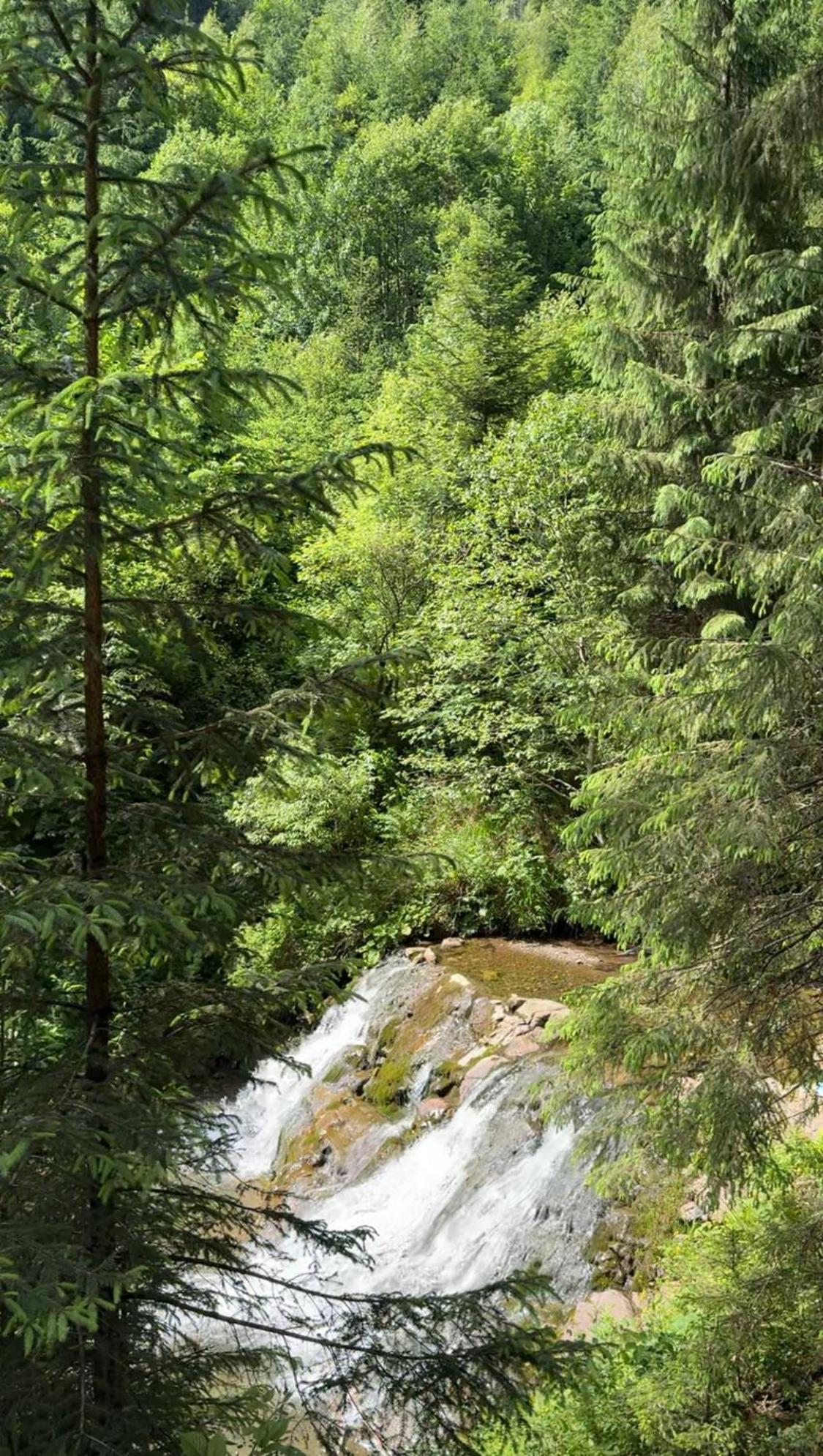 Cottage Karinka