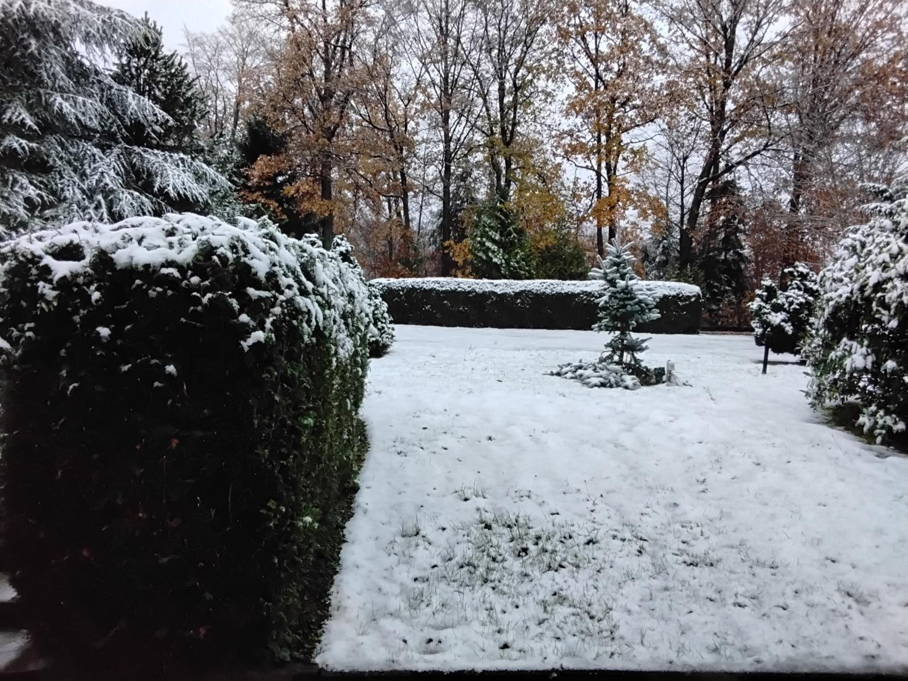 Hochwald EnSuite