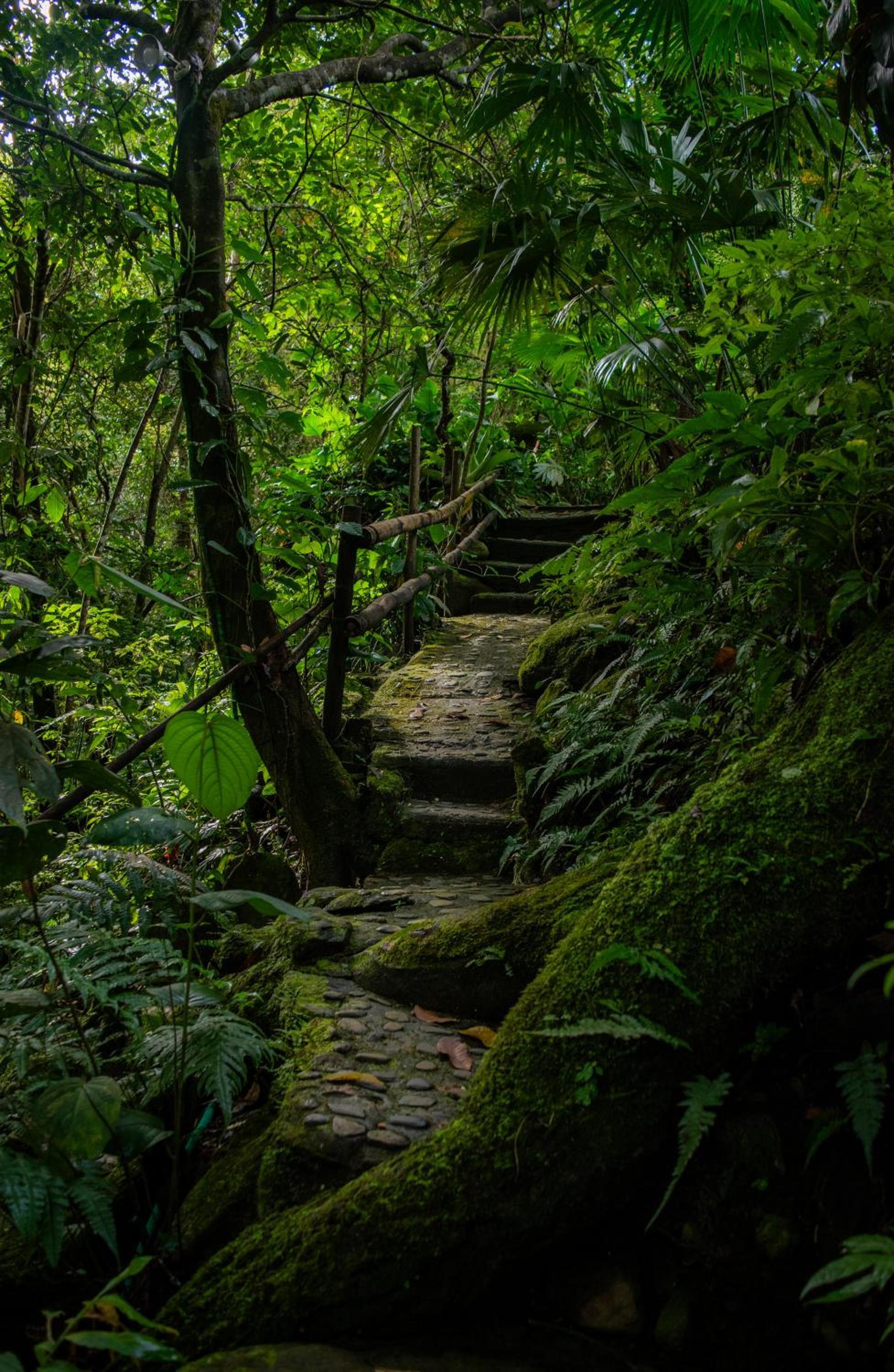 Casa del Pozo Azul - Minca