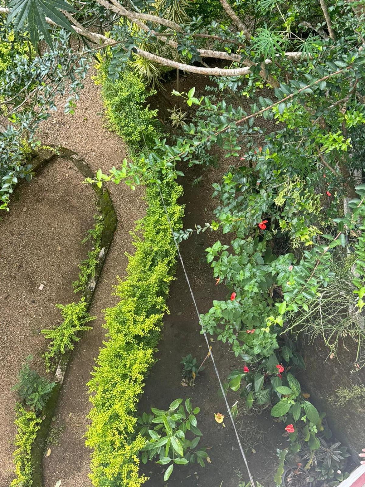 New Toropi Homestay view 5