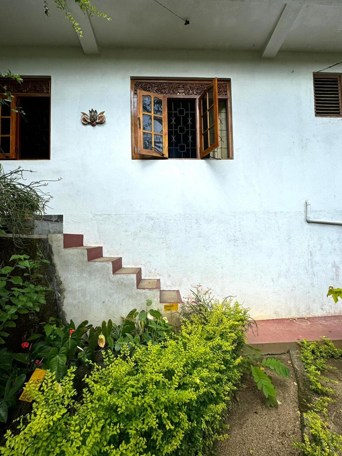 New Toropi Homestay view 4