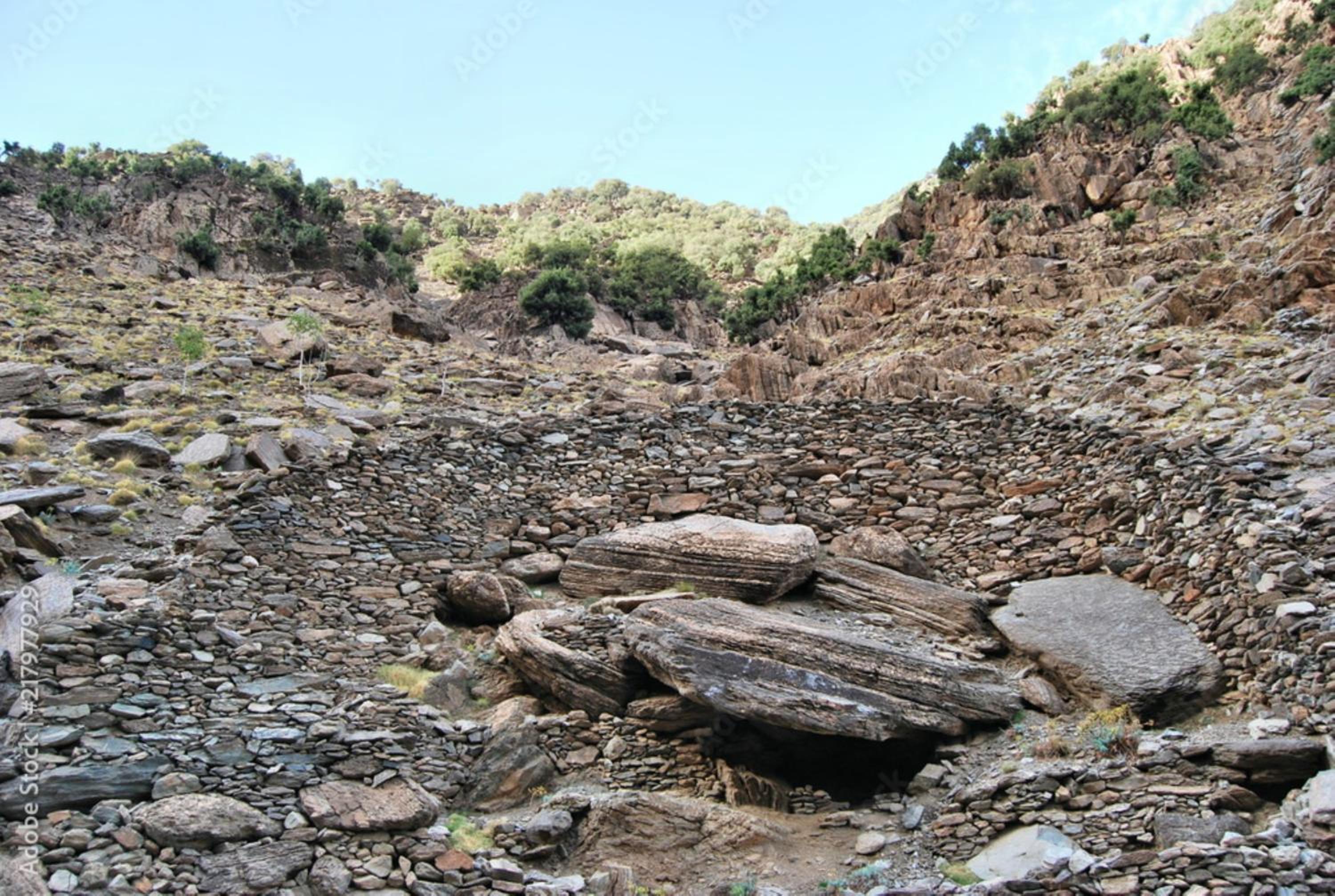 Photo 23