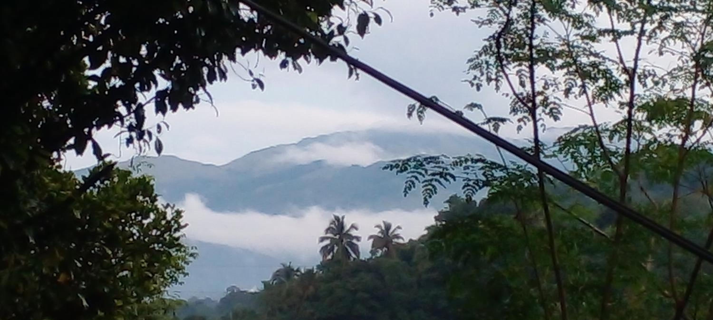 New Toropi Homestay view 2