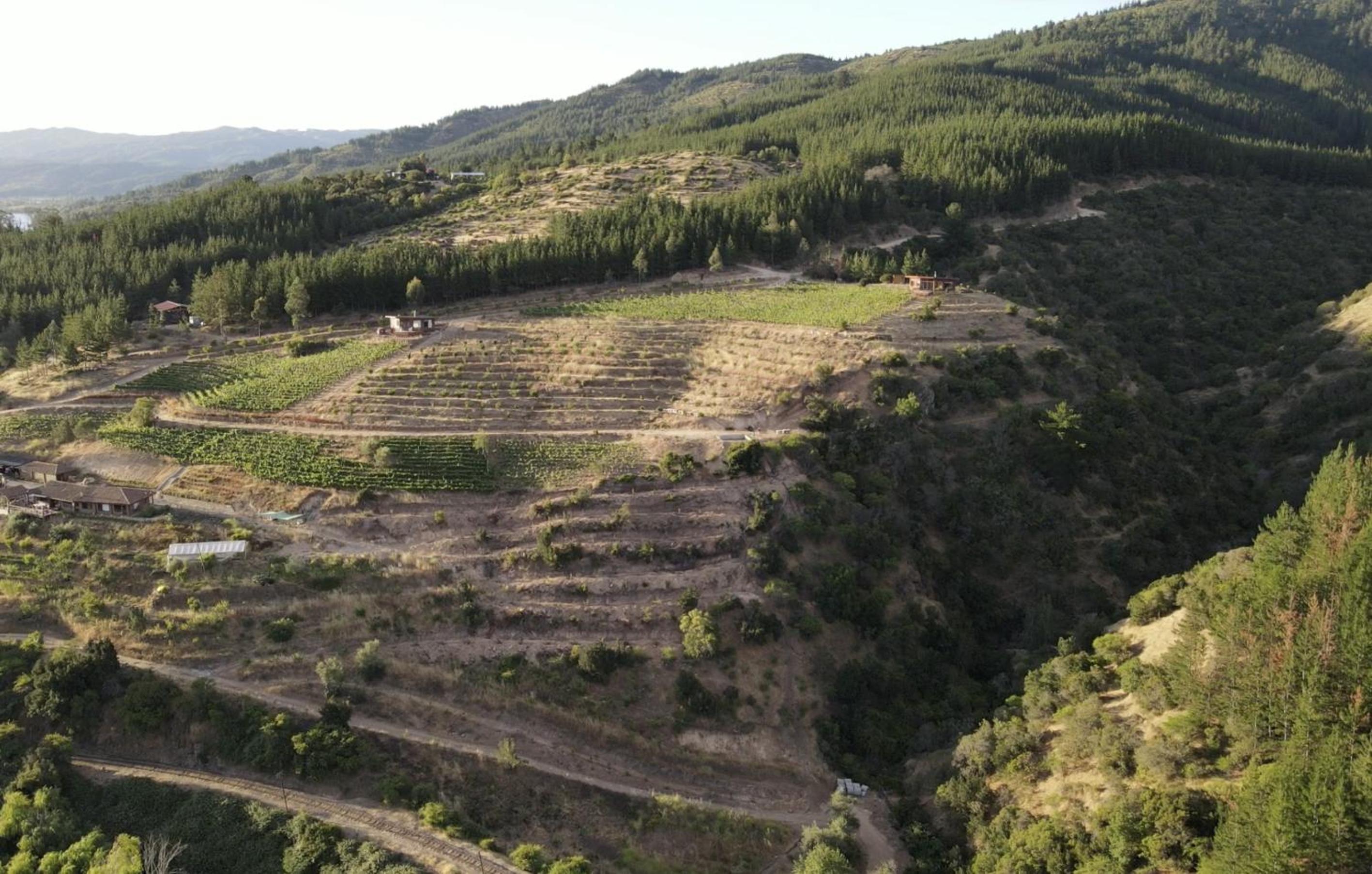 Cabañas El Poeta
