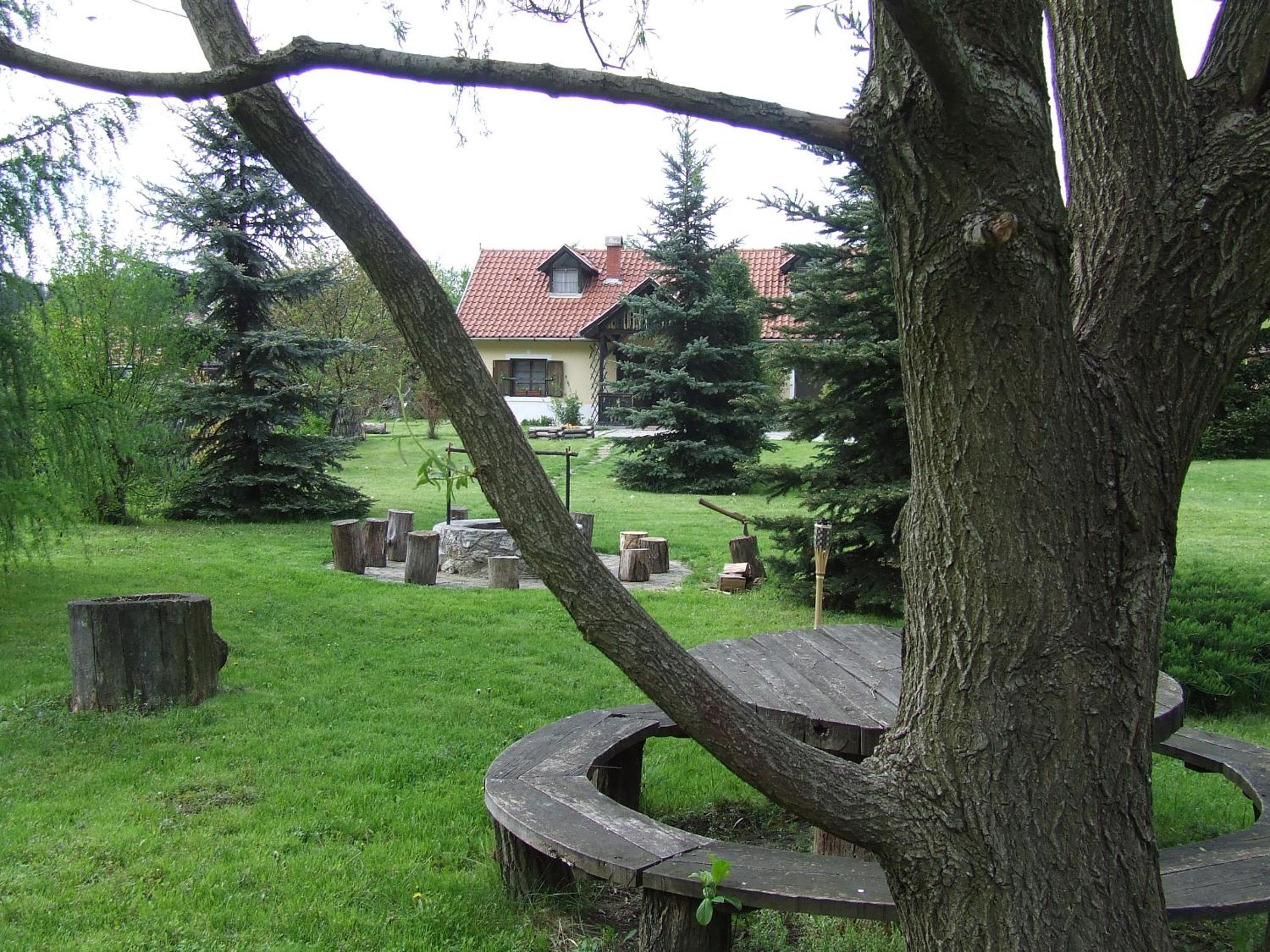 Photo 42