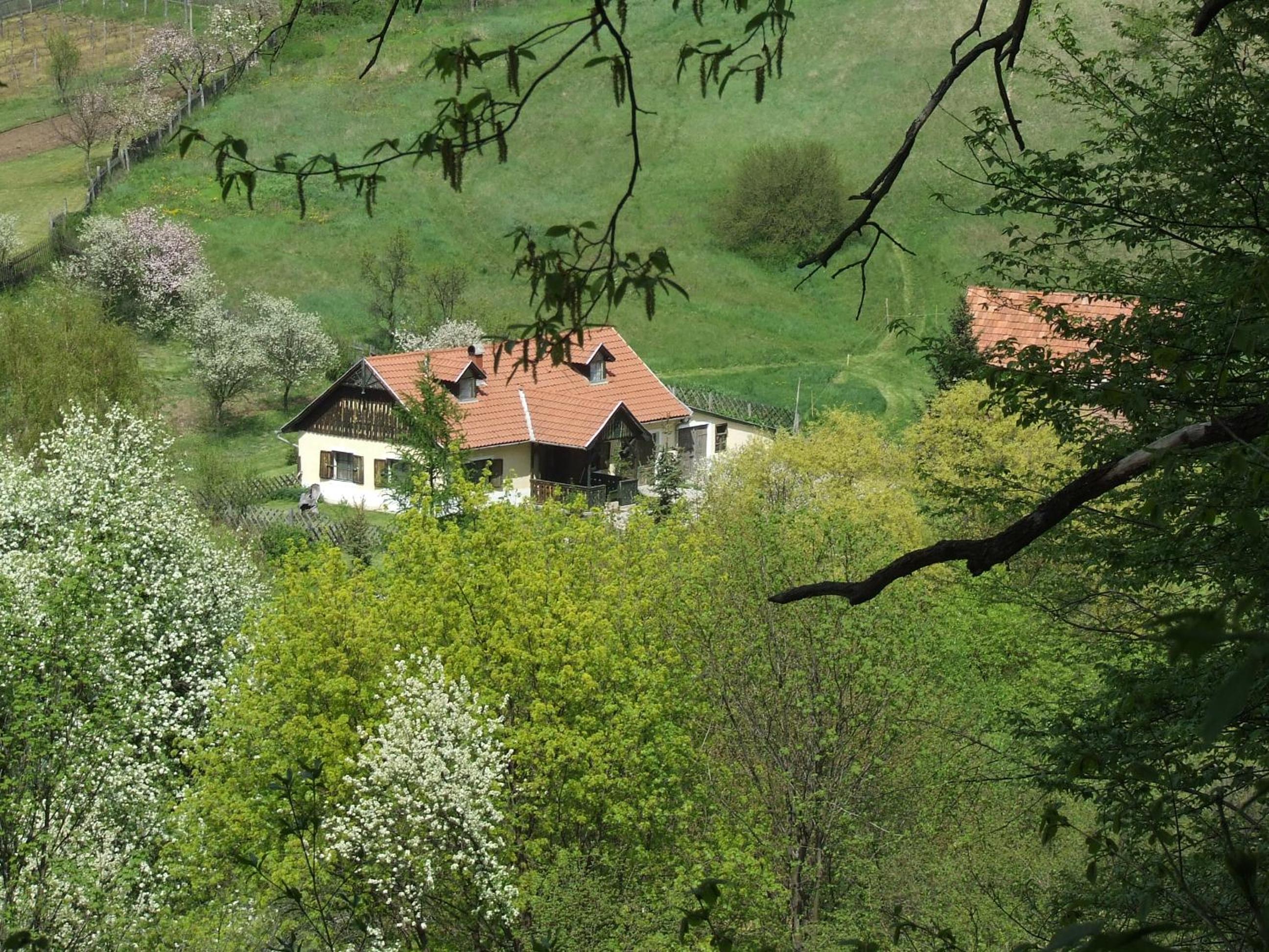 Photo 44