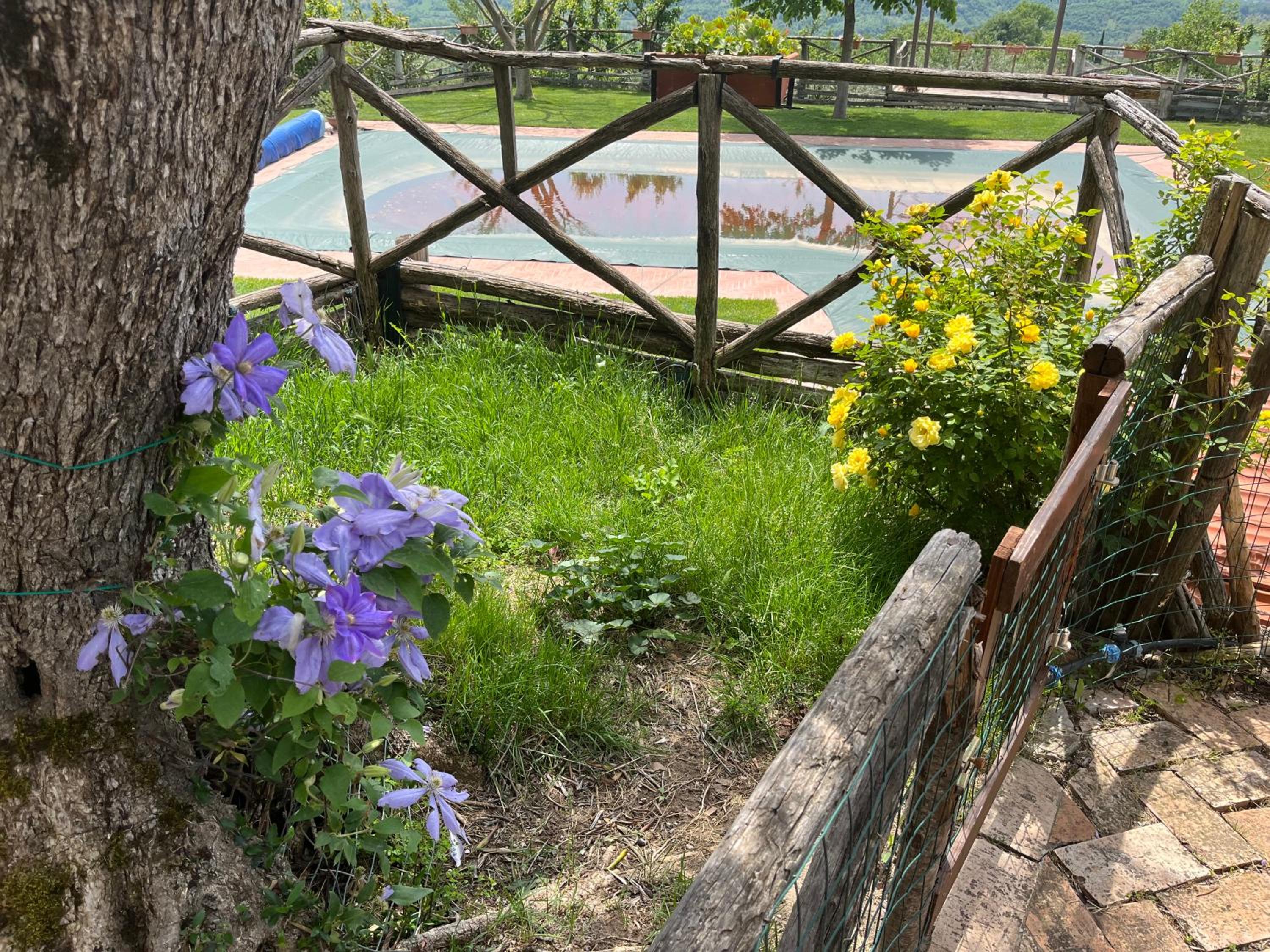 Villa Alce