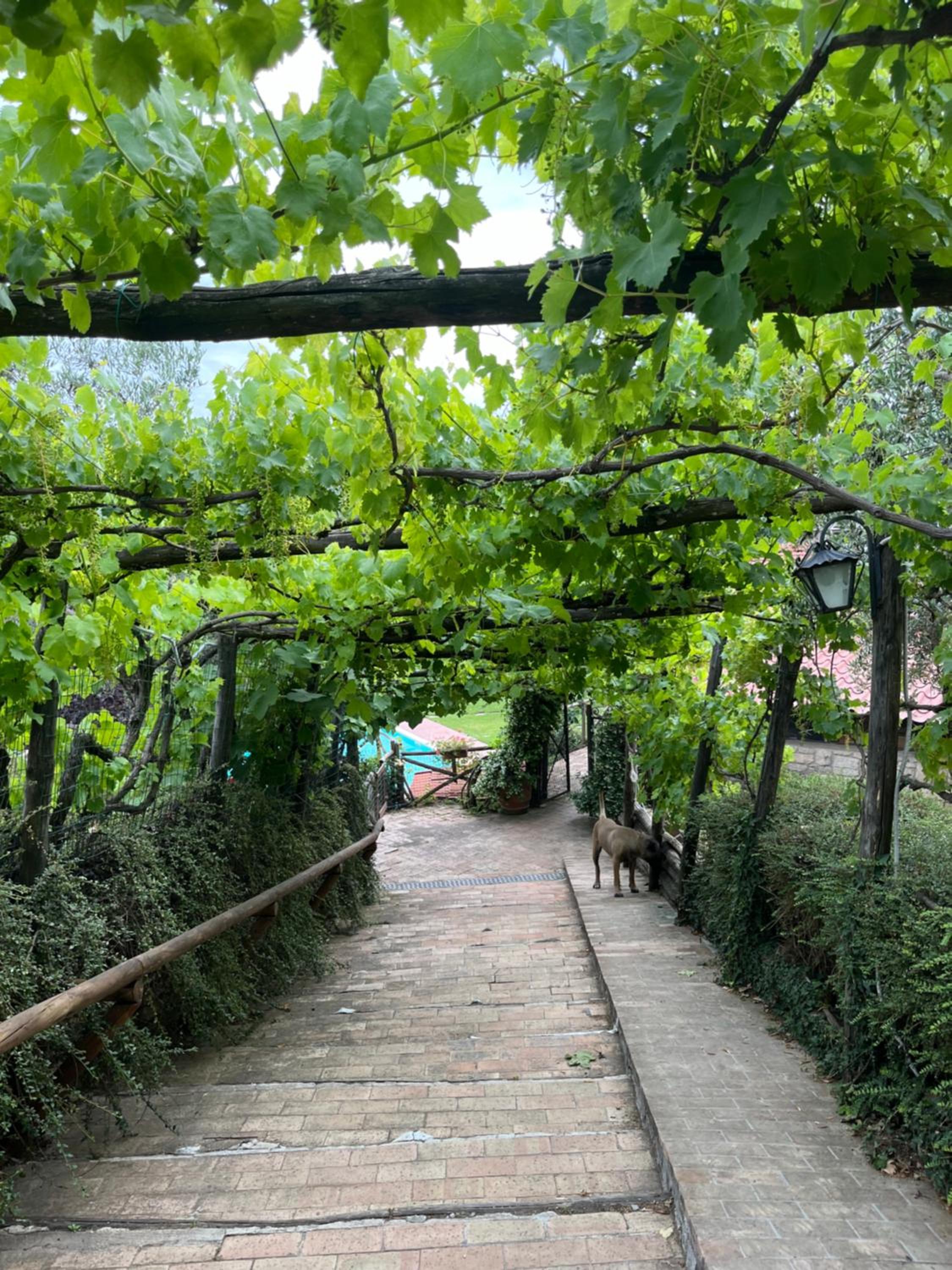 Villa Alce