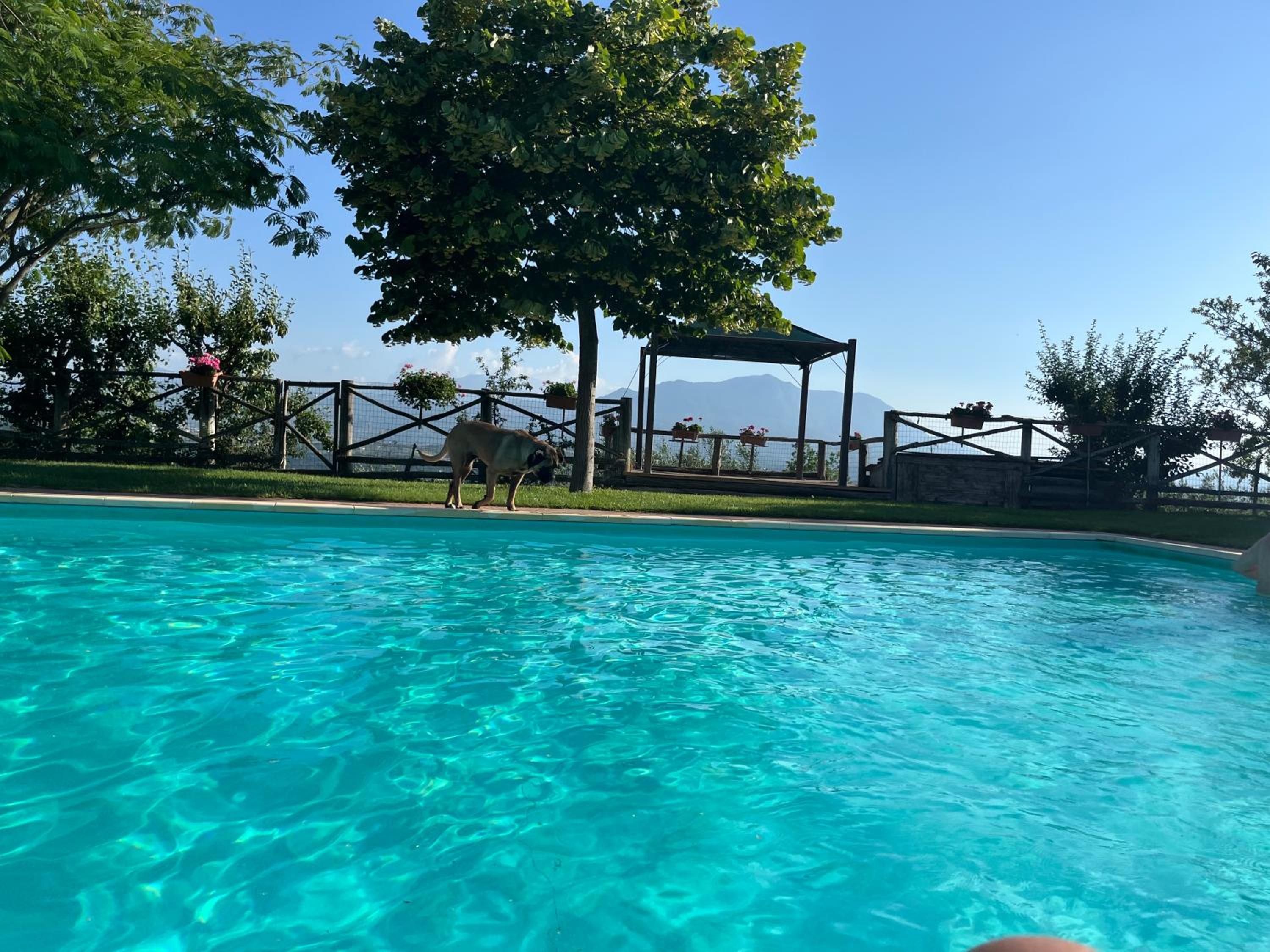 Villa Alce