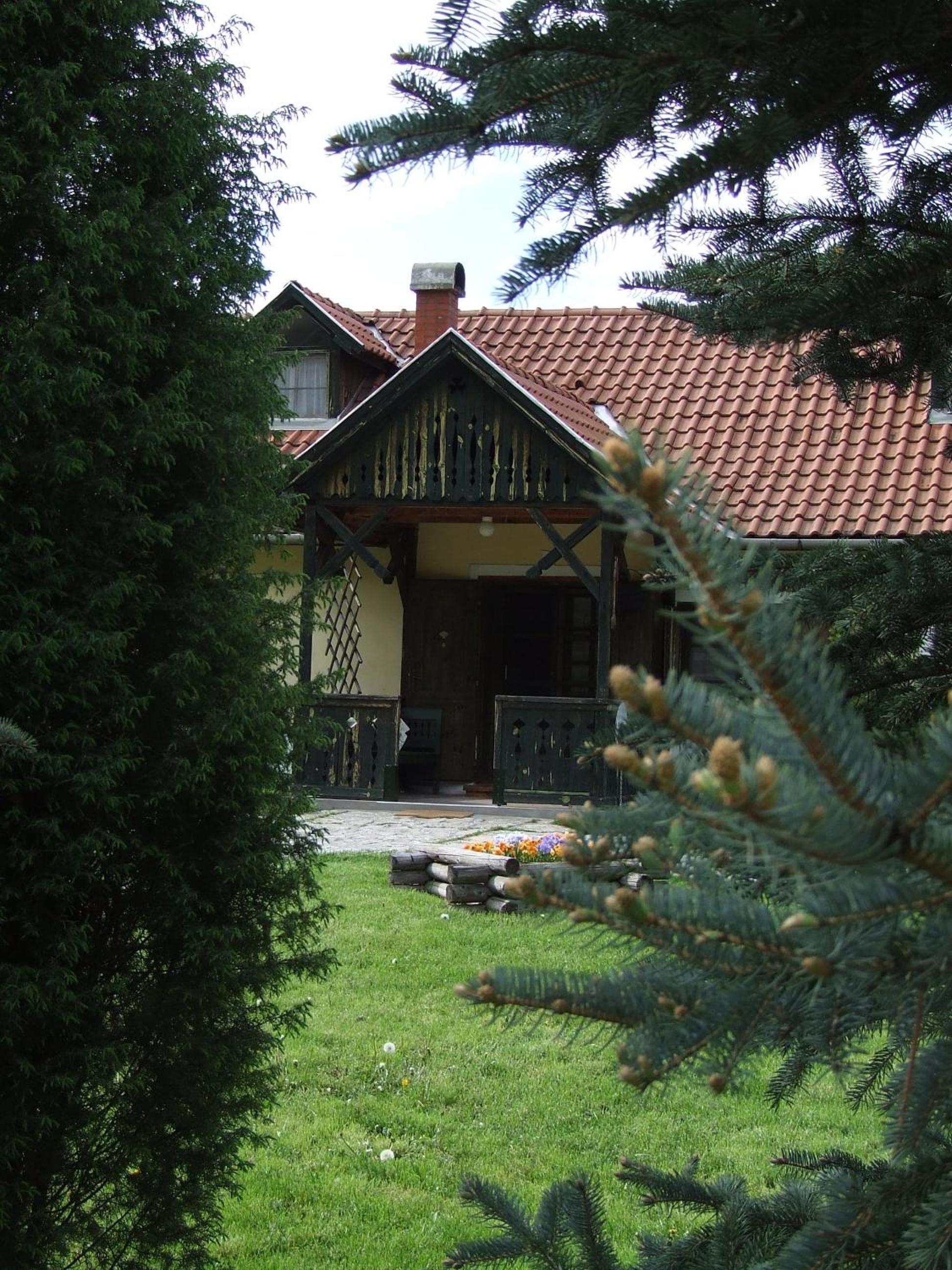 Photo 45