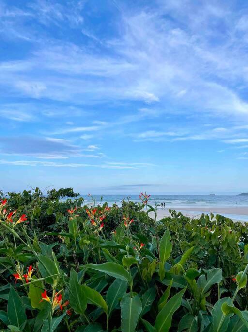 Amplo apartamento ao lado do Mar com Piscina incrível