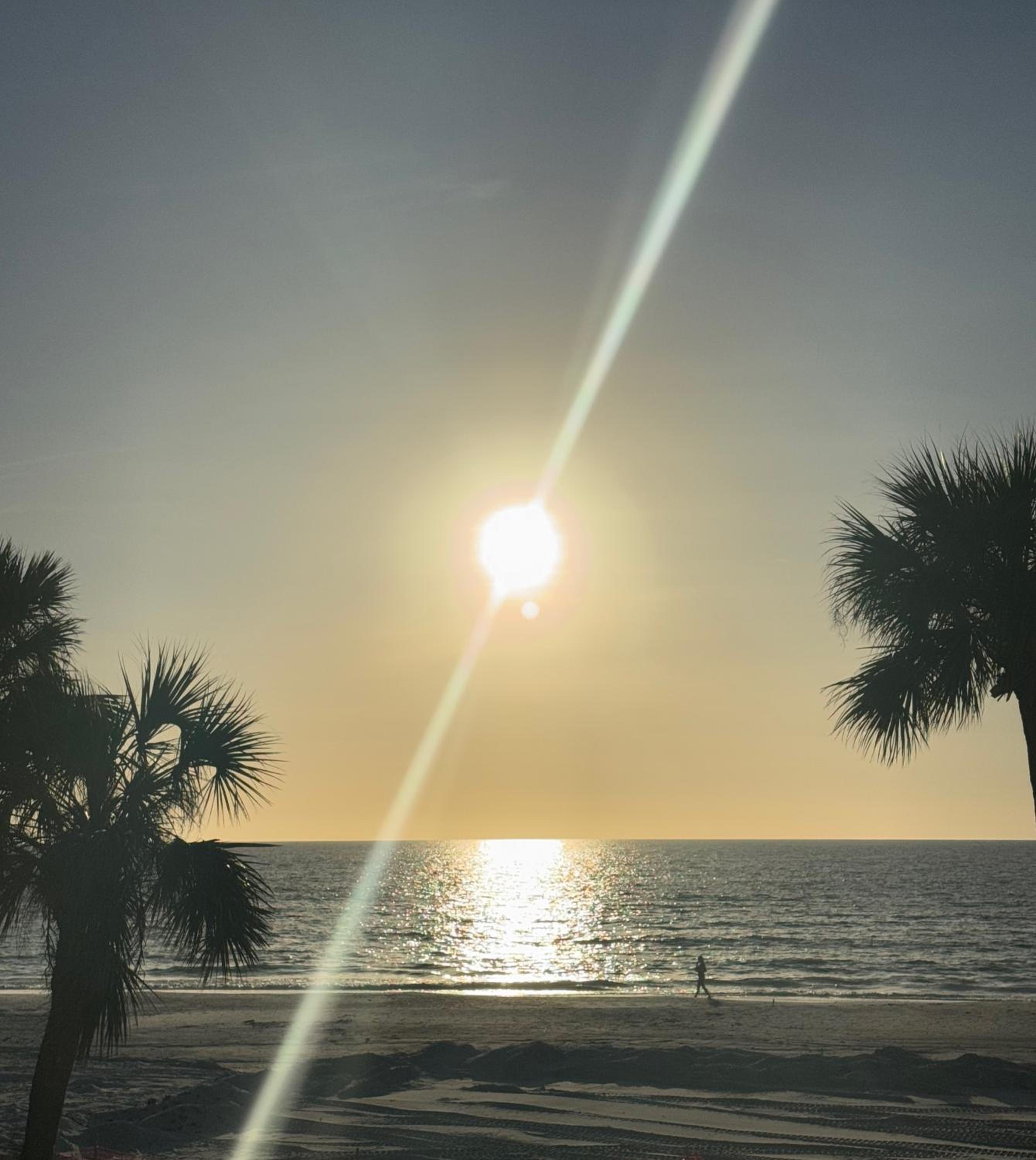 Barefoot Shores