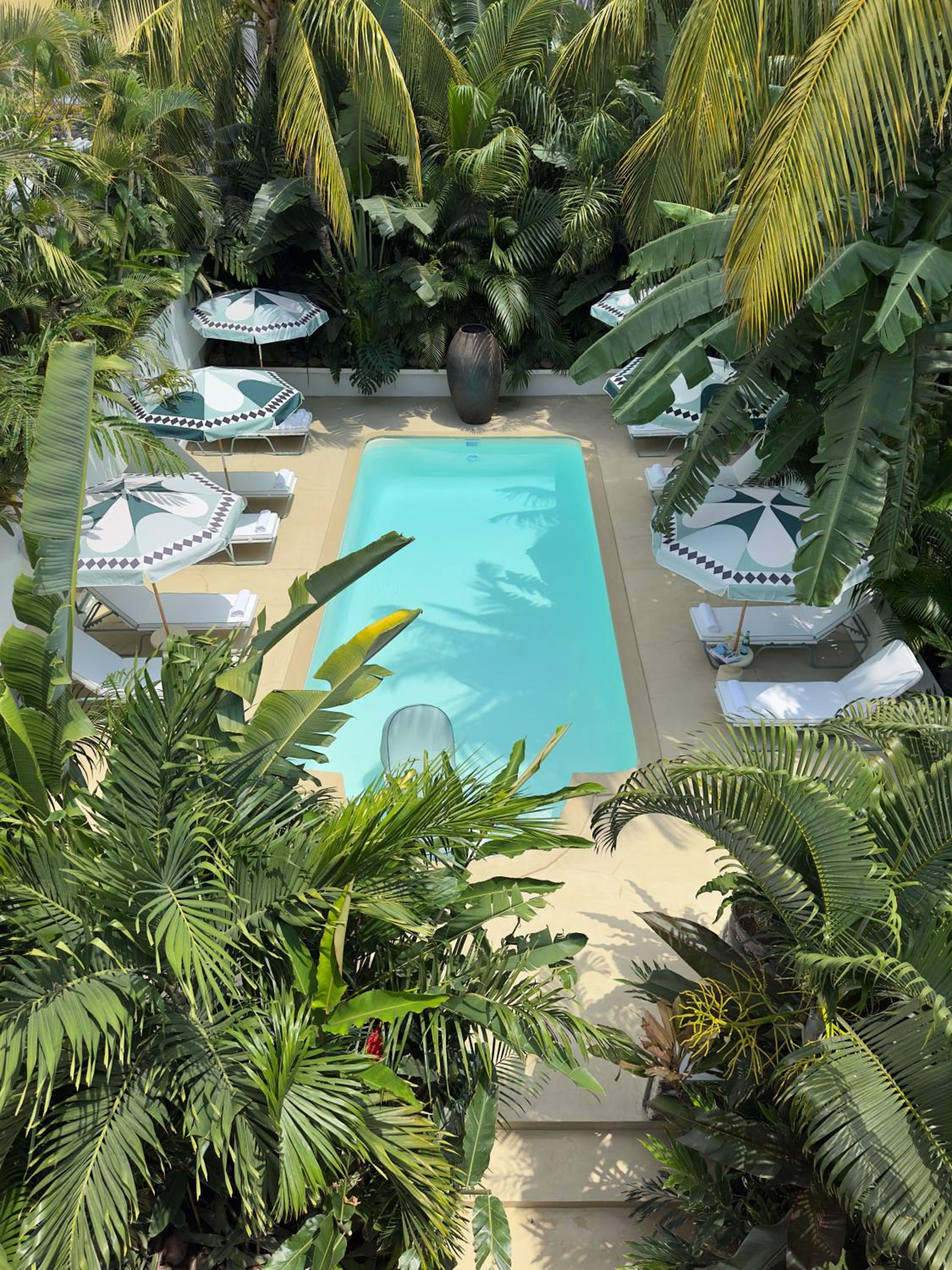 Maison Tropical