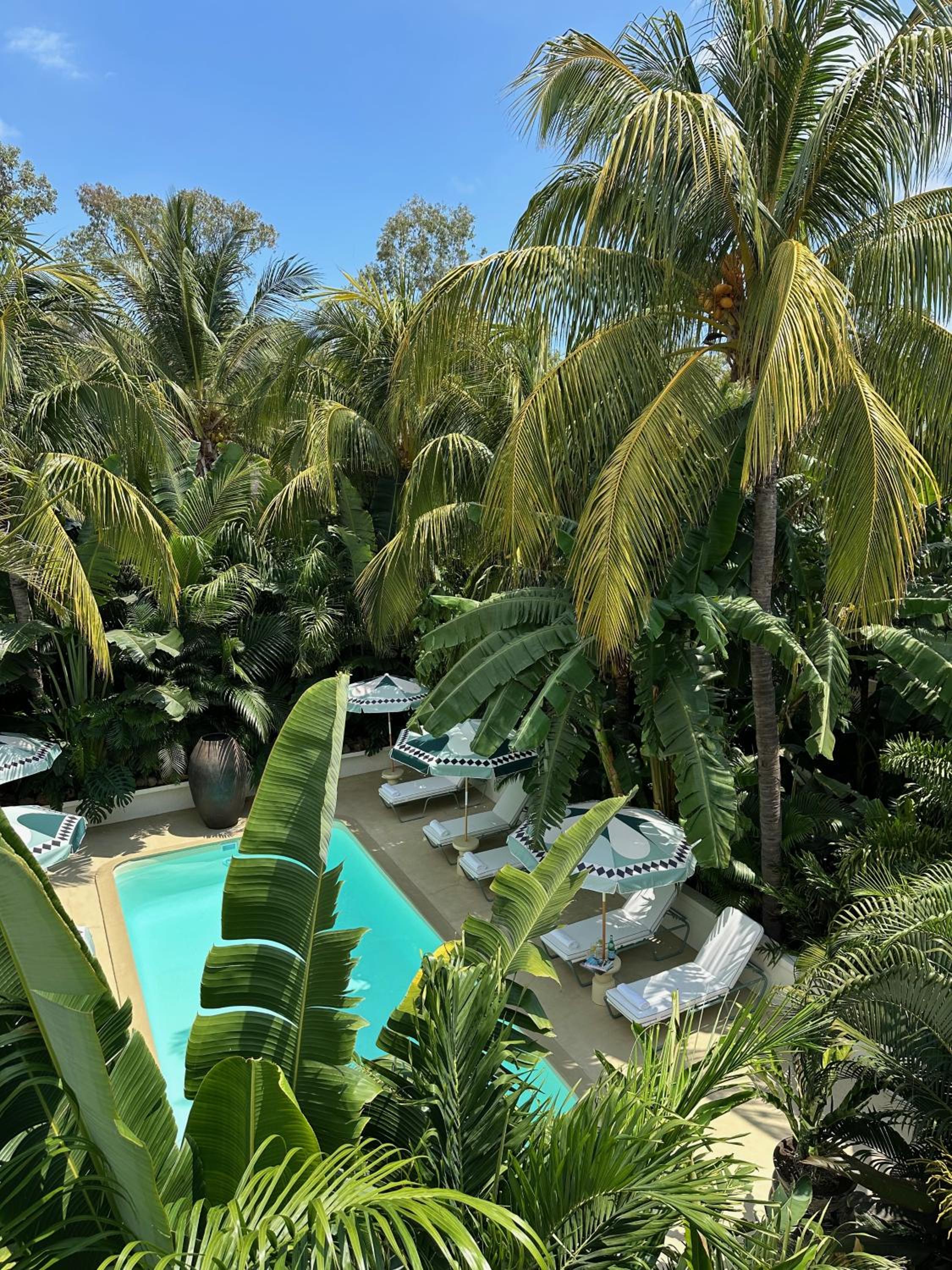 Hotel Maison Tropical - Image 1