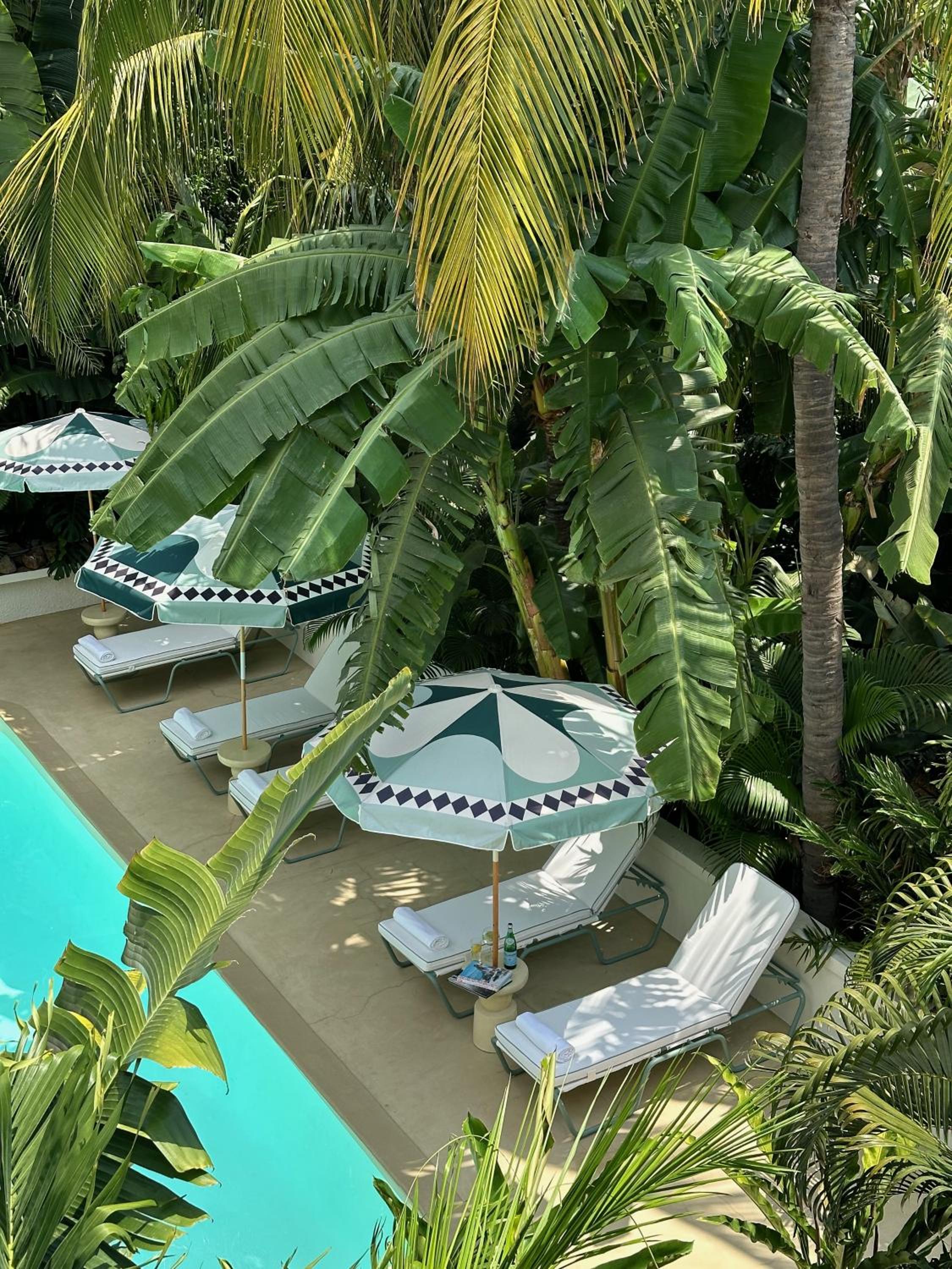 Maison Tropical