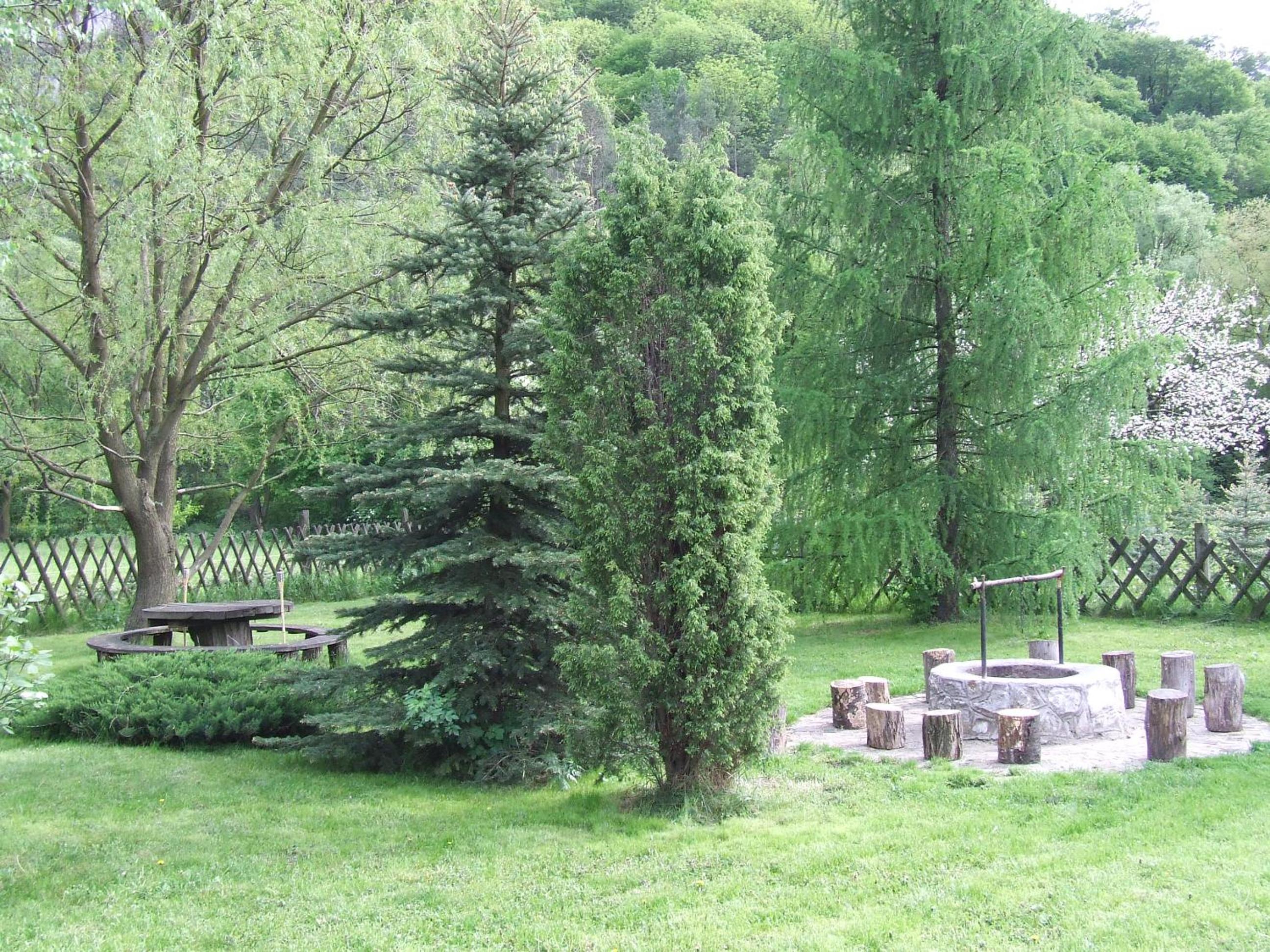 Photo 30