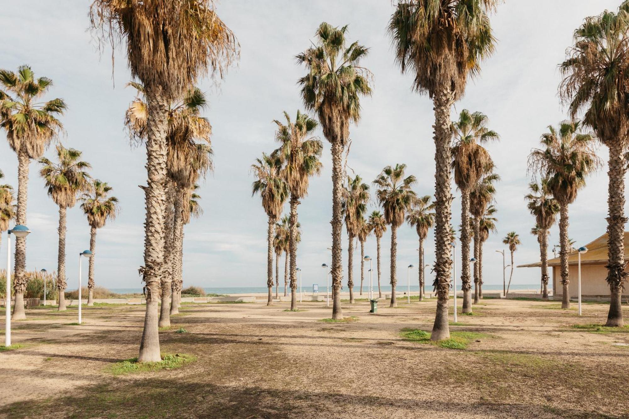 RESORT BEACH VALENCIA