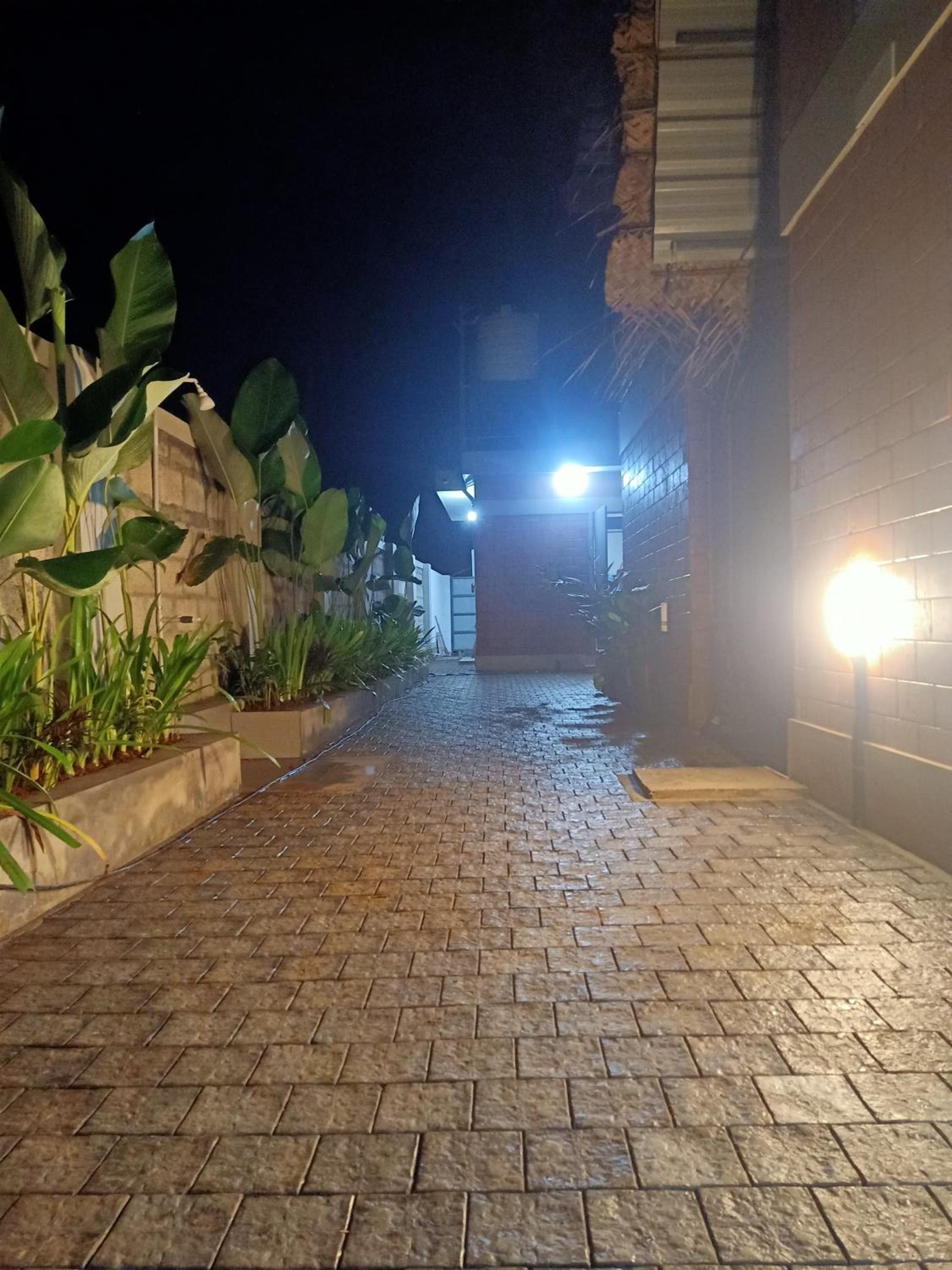Photo 31