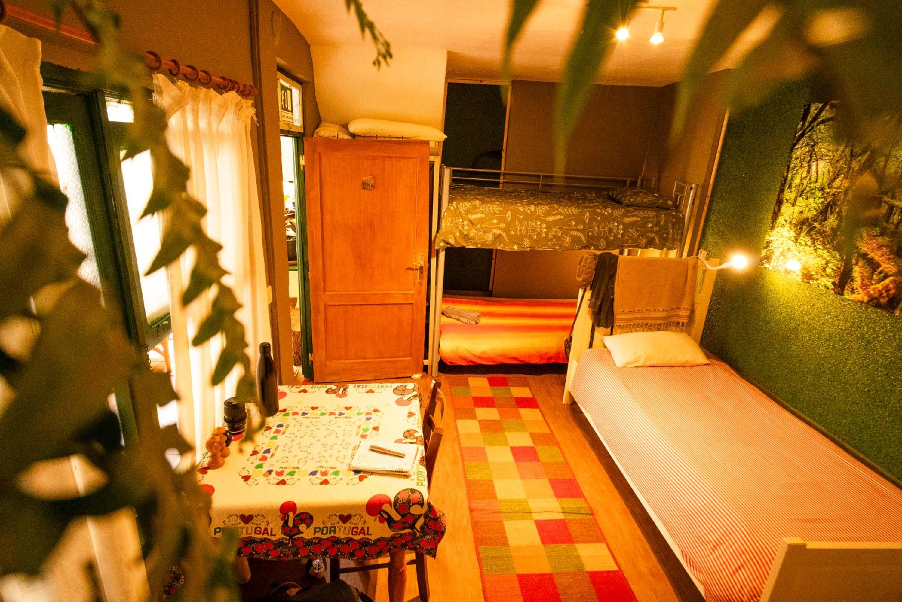 Photo 41